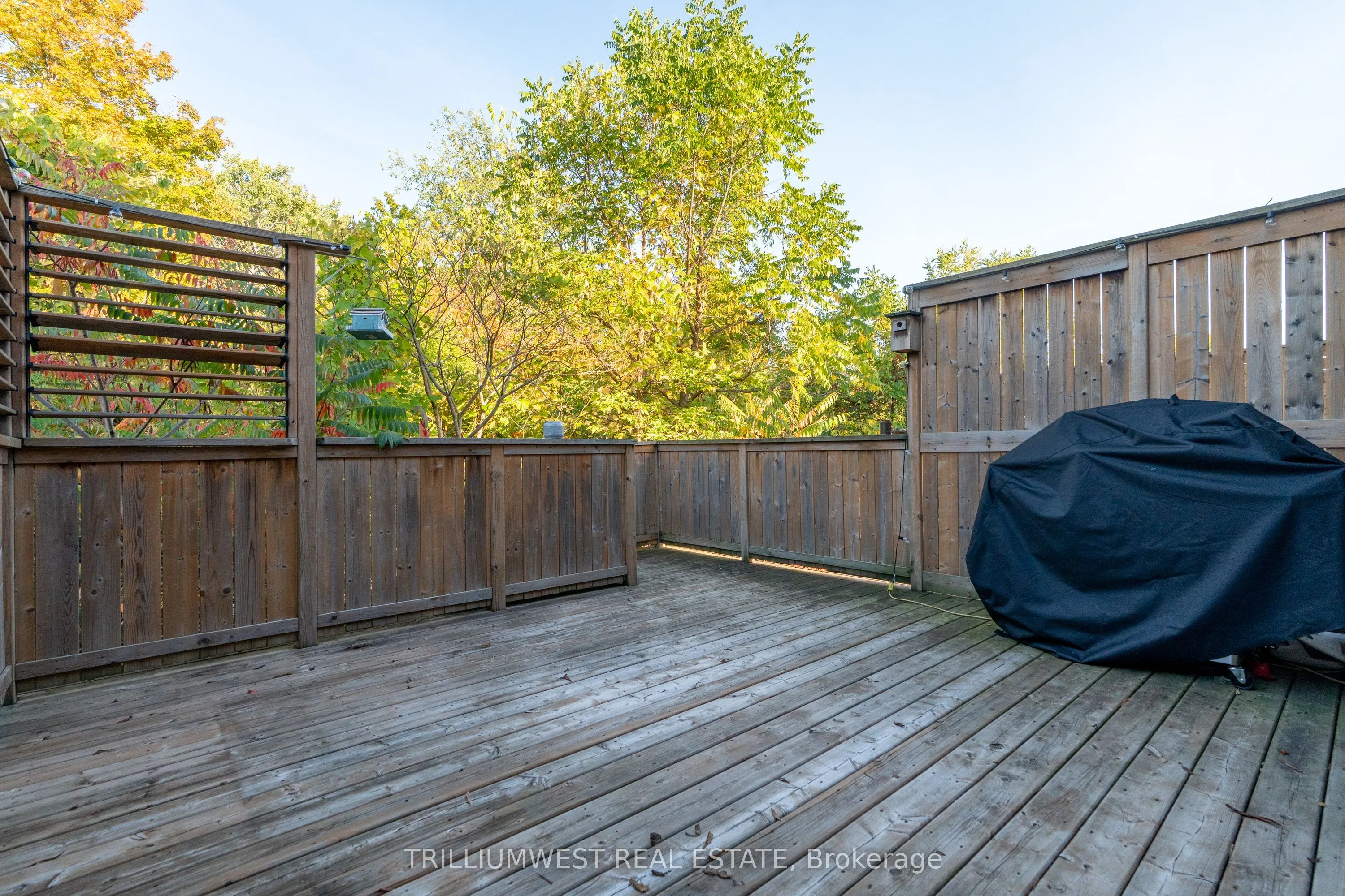 49 Meadowridge Street