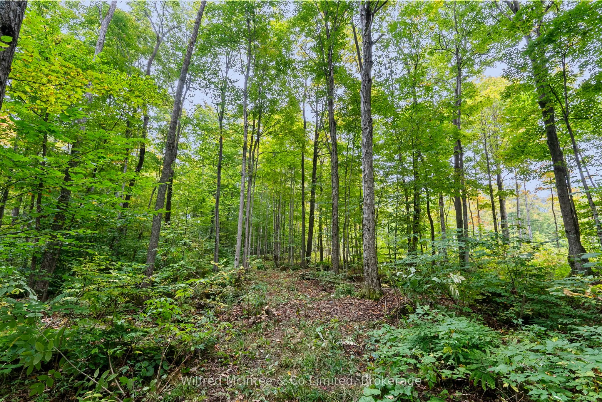 442289 Concession 21