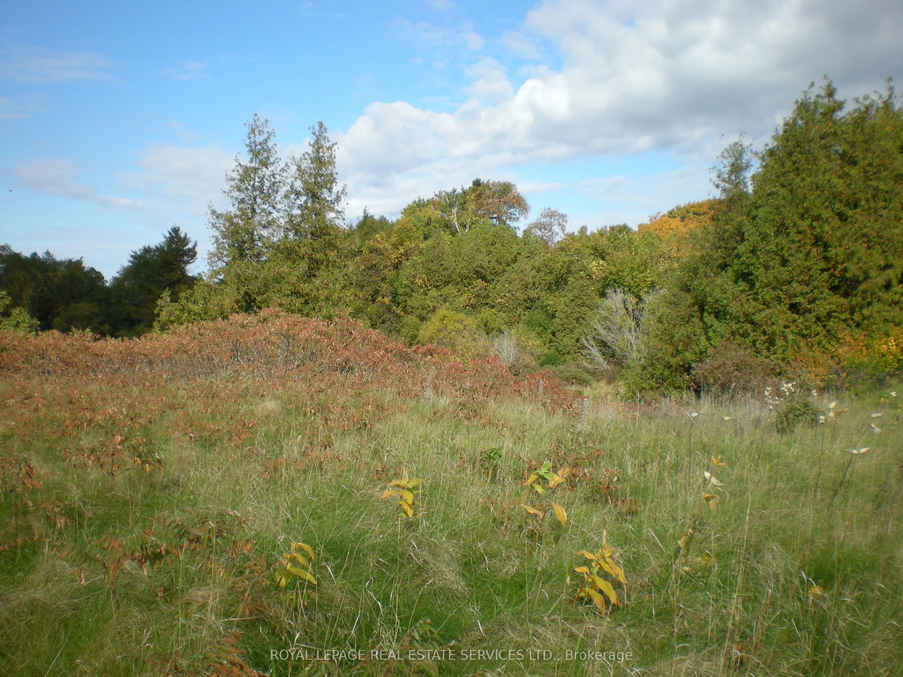 County Road 10 2&3