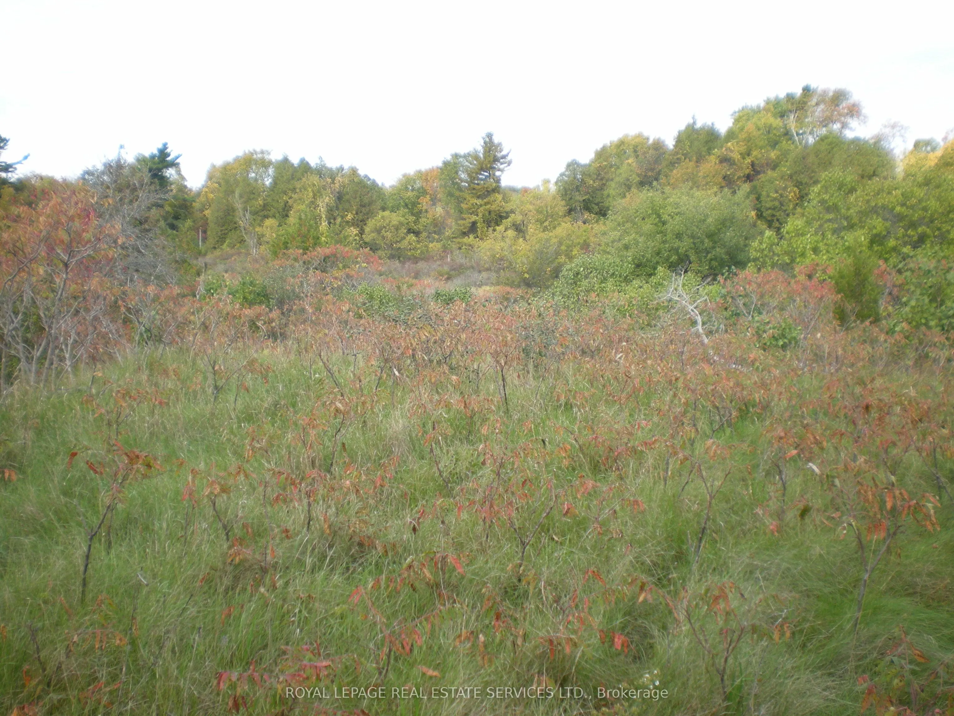 County Road 10, Lot 2