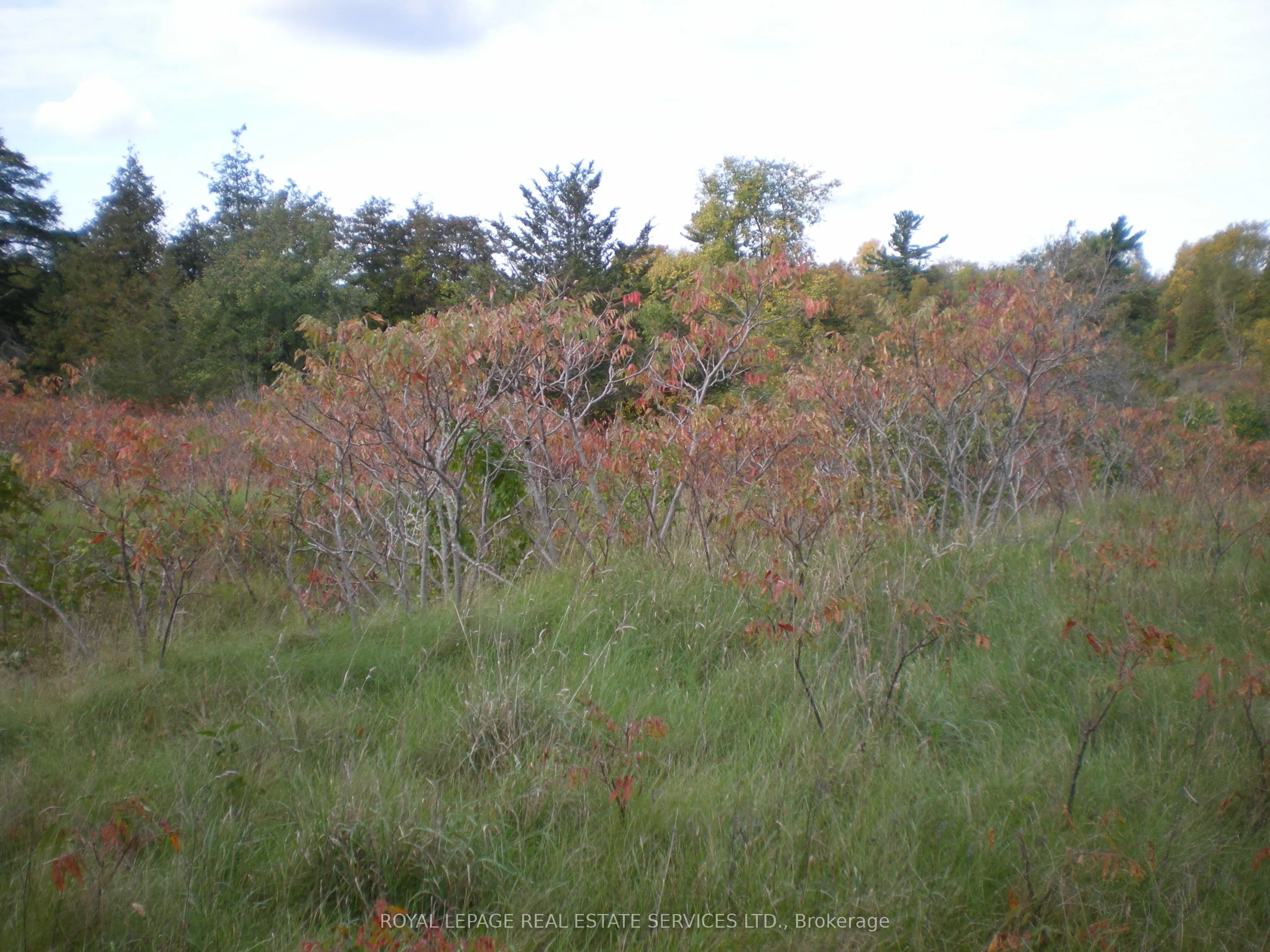 County Road 10, Lot 2