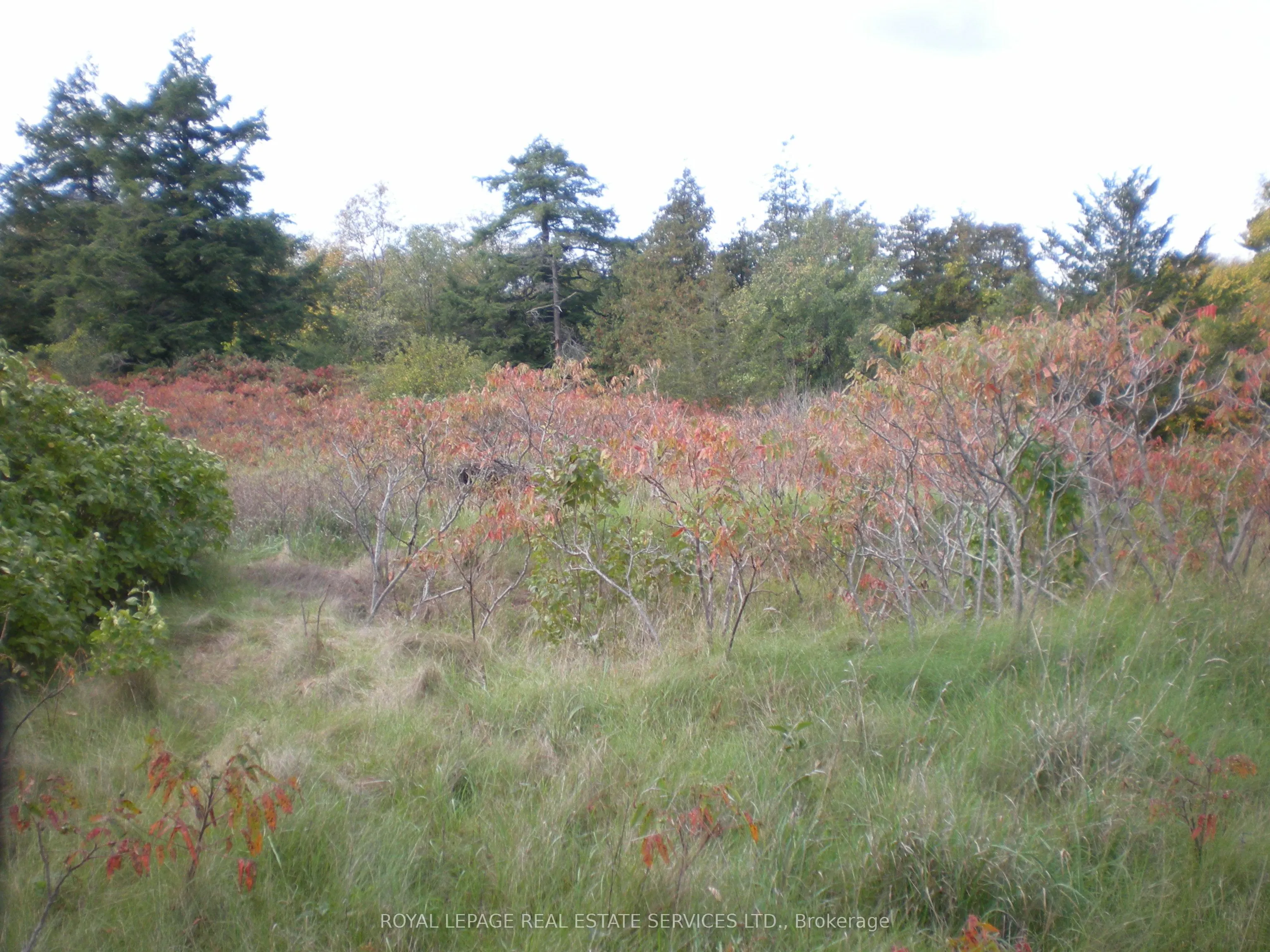 County Road 10, Lot 3