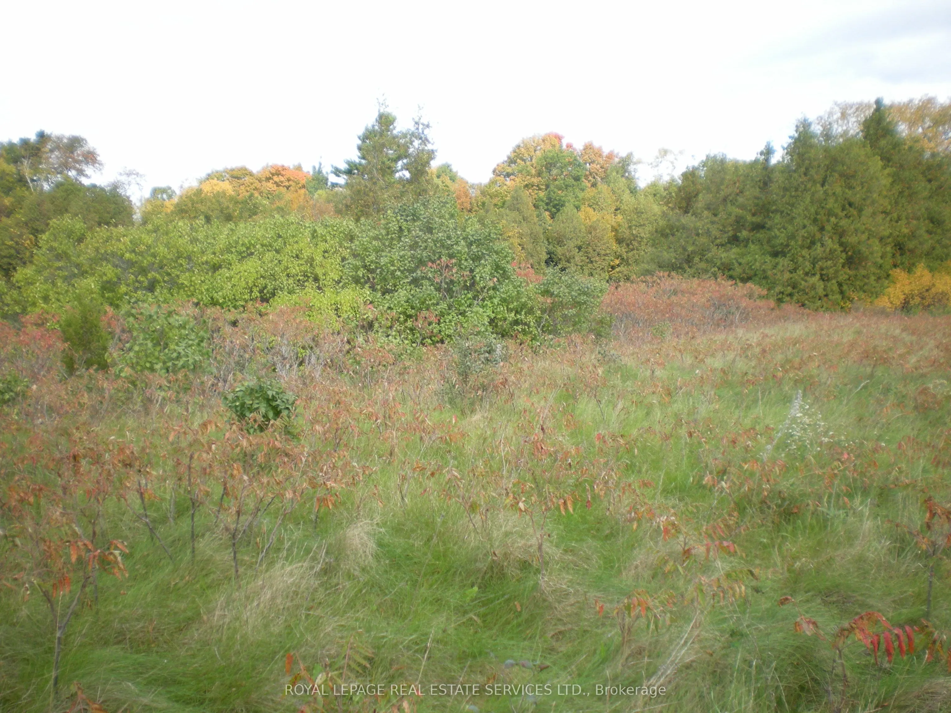 County Road 10, Lot 3