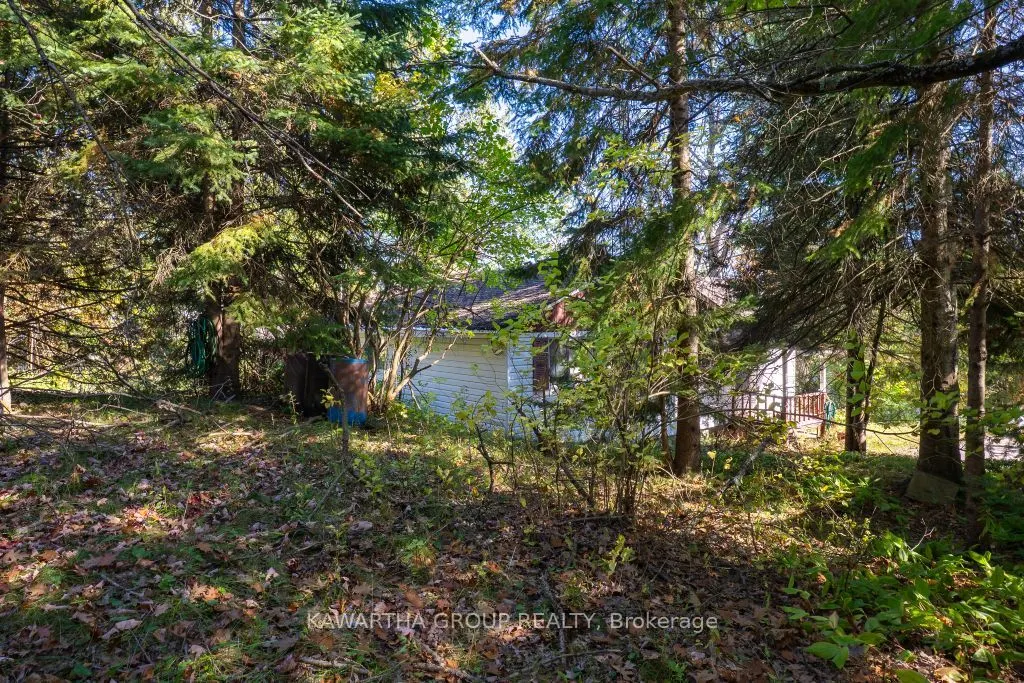 3639 Monck Road