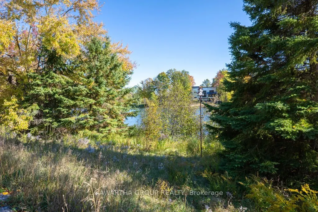 3639 Monck Road