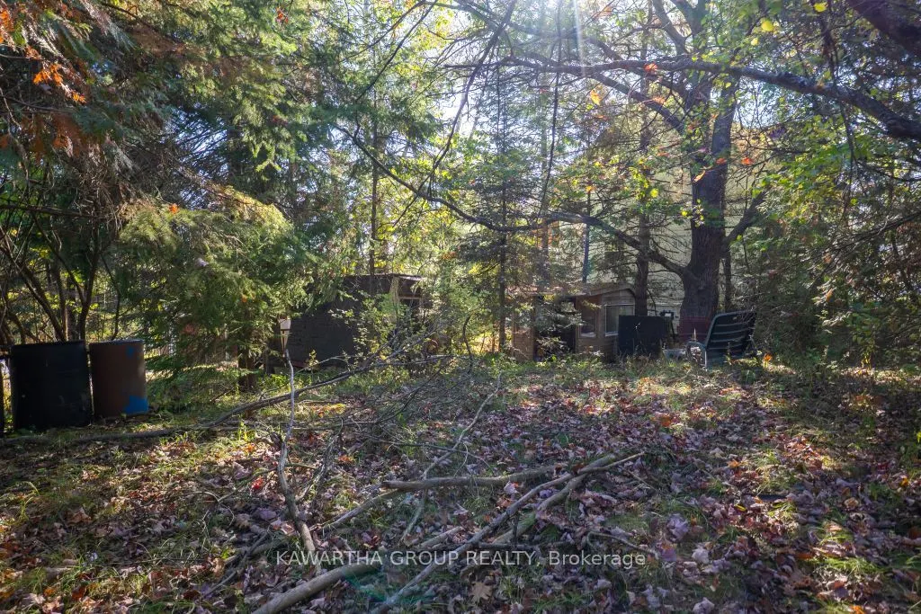 3639 Monck Road
