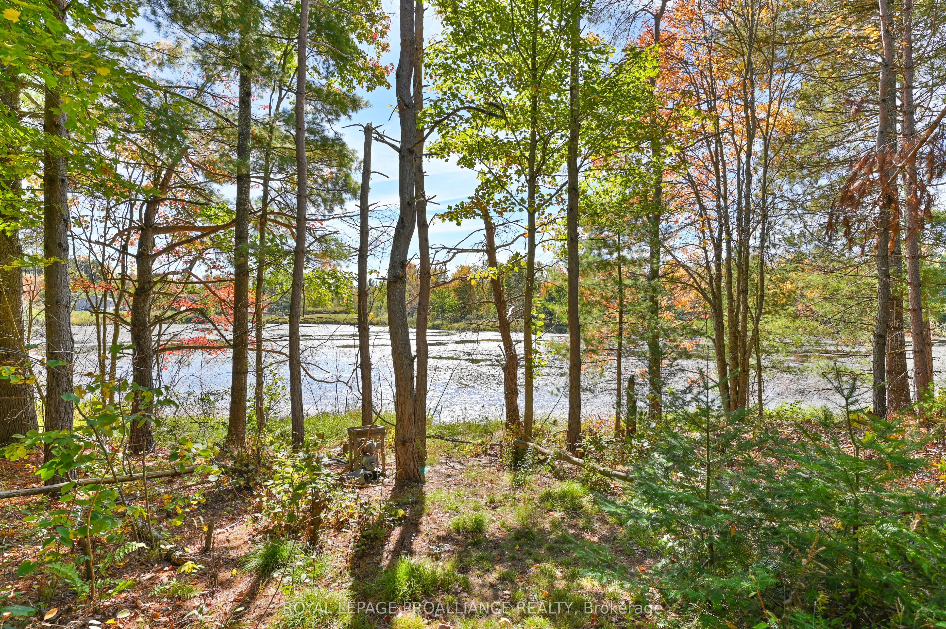 471 Elzevir Road