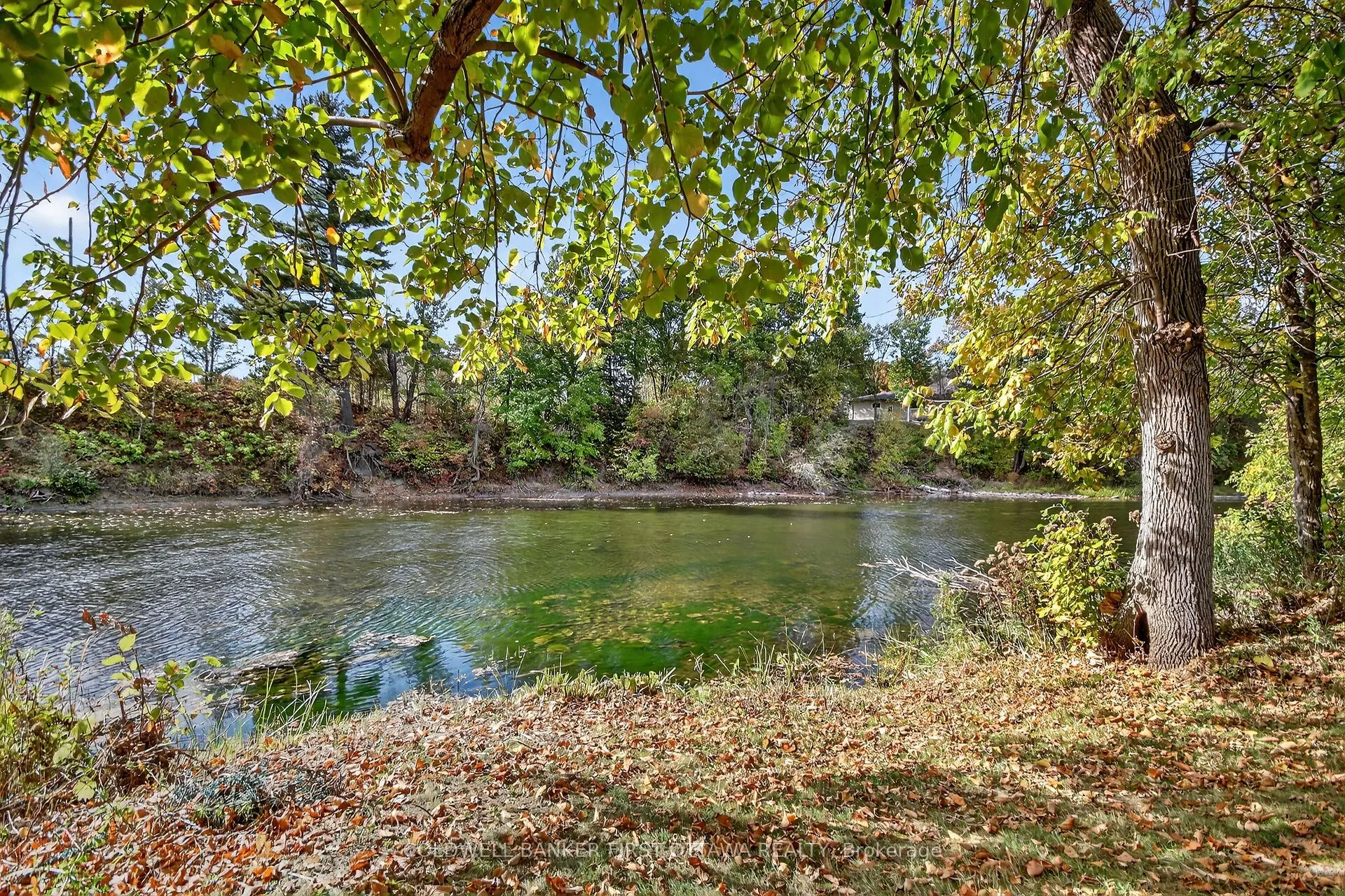5228 McLean Crescent