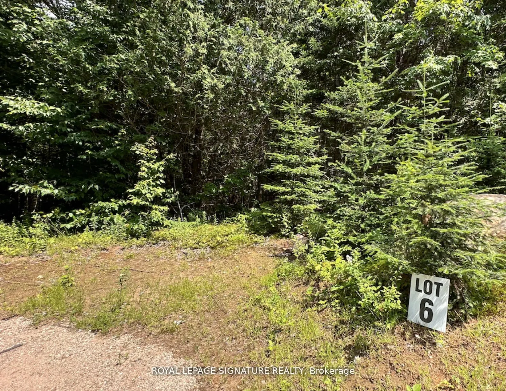 15 Axe Lake Road