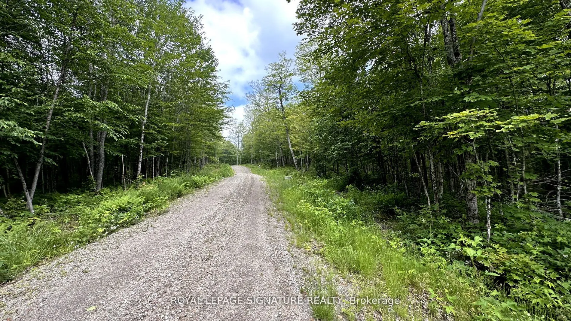 15 Axe Lake Road