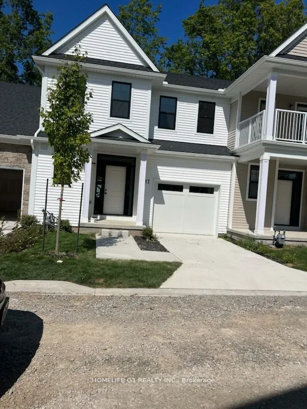 17 SHAMROCK COMMON, #17