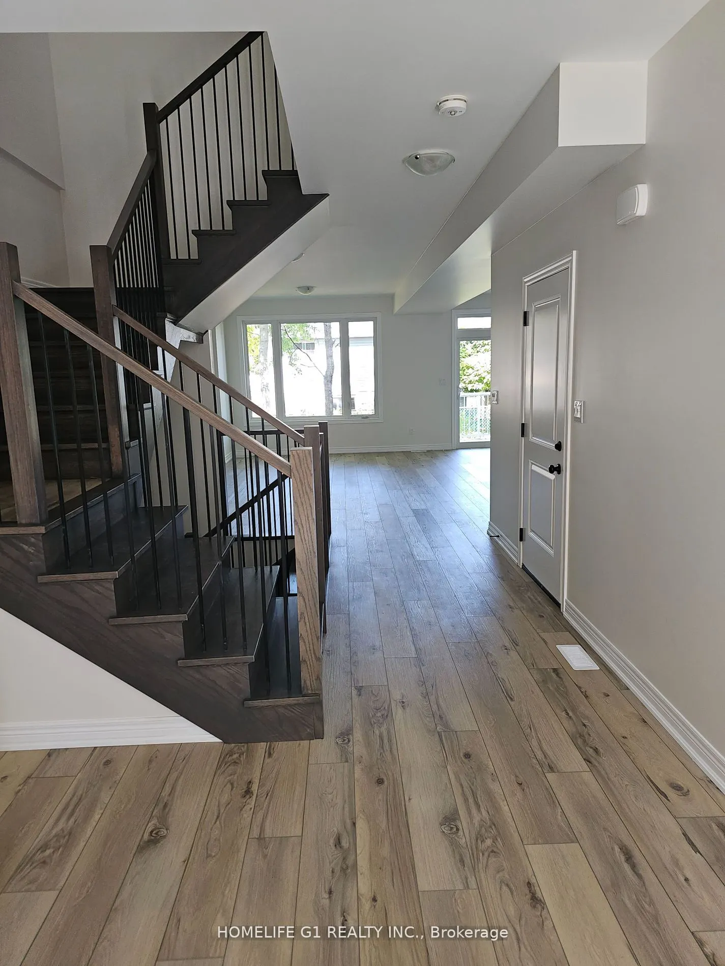 17 SHAMROCK COMMON, #17