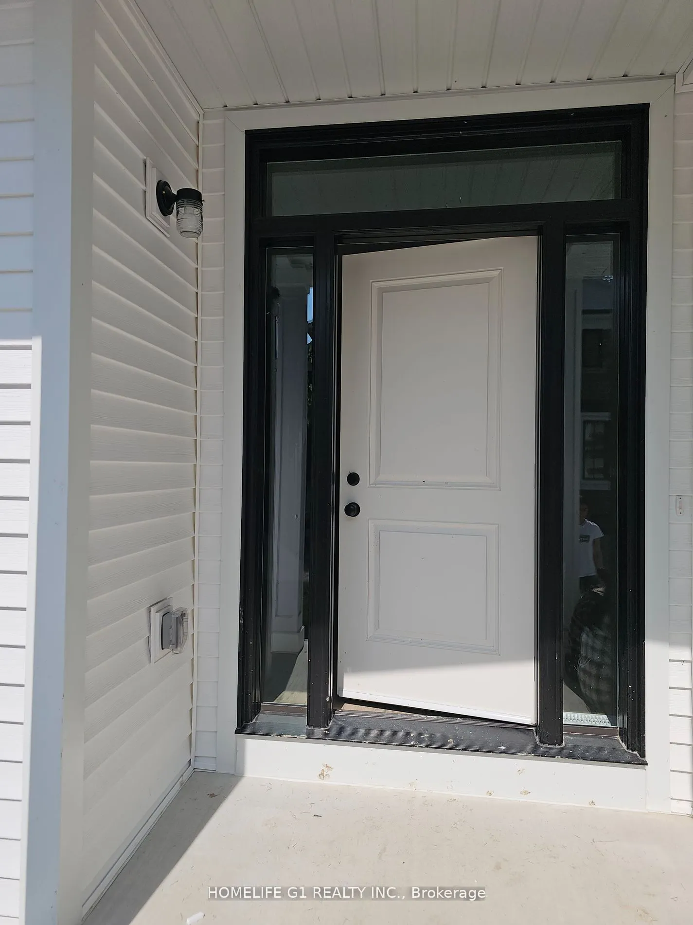 17 SHAMROCK COMMON, #17