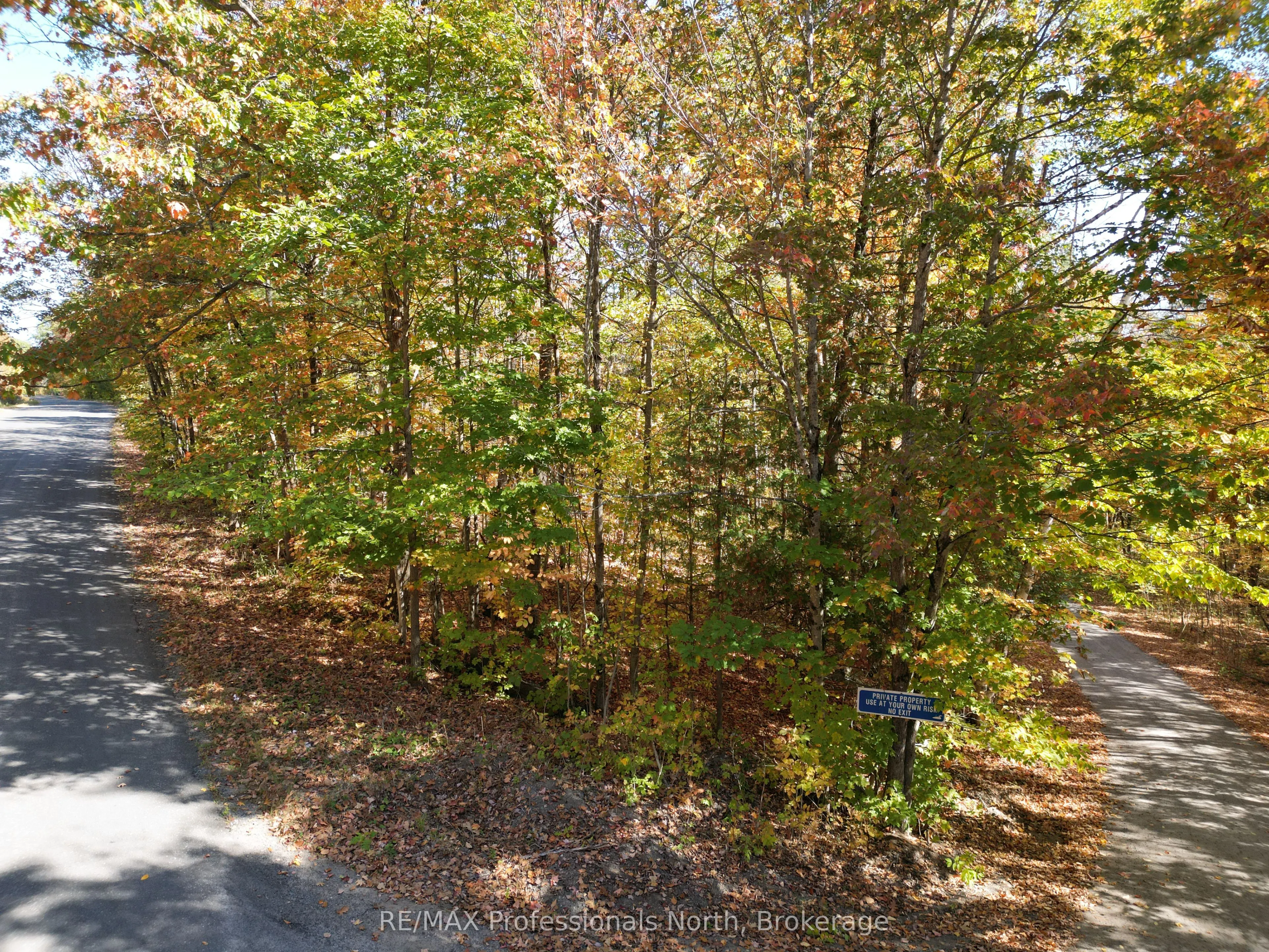 PT LT 7 CON 3 Buckslide Road