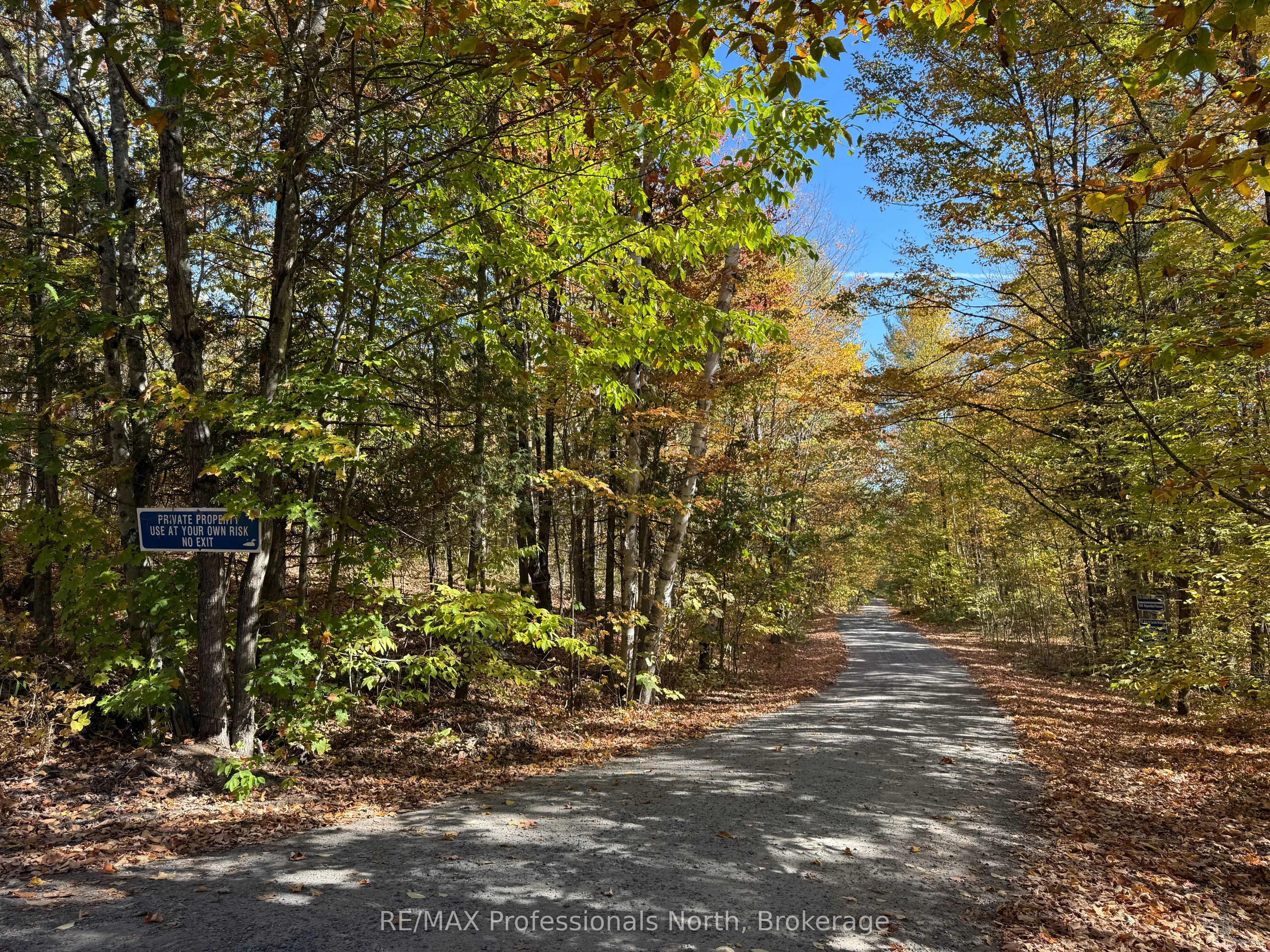 PT LT 7 CON 3 Buckslide Road
