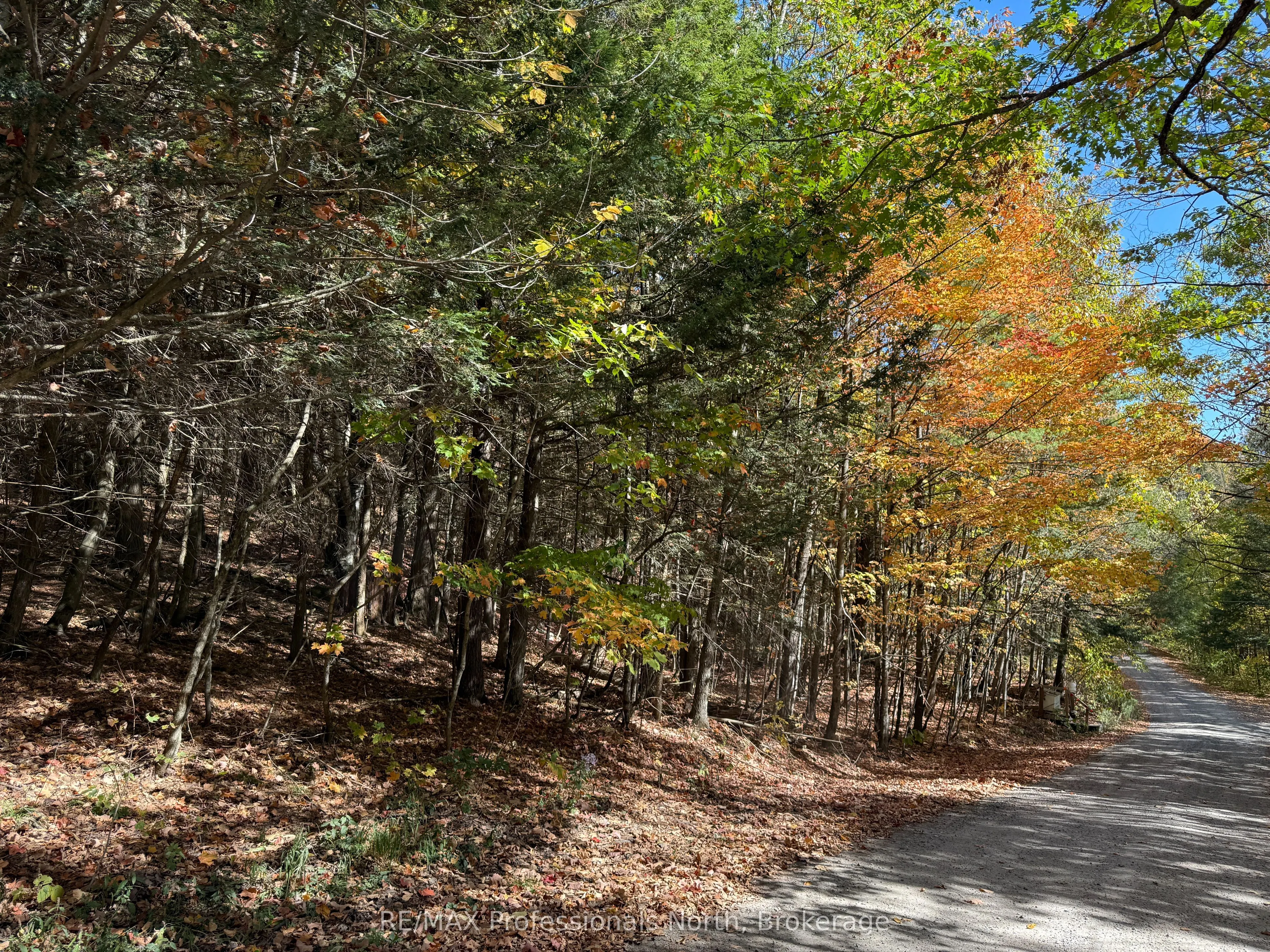PT LT 7 CON 3 Buckslide Road