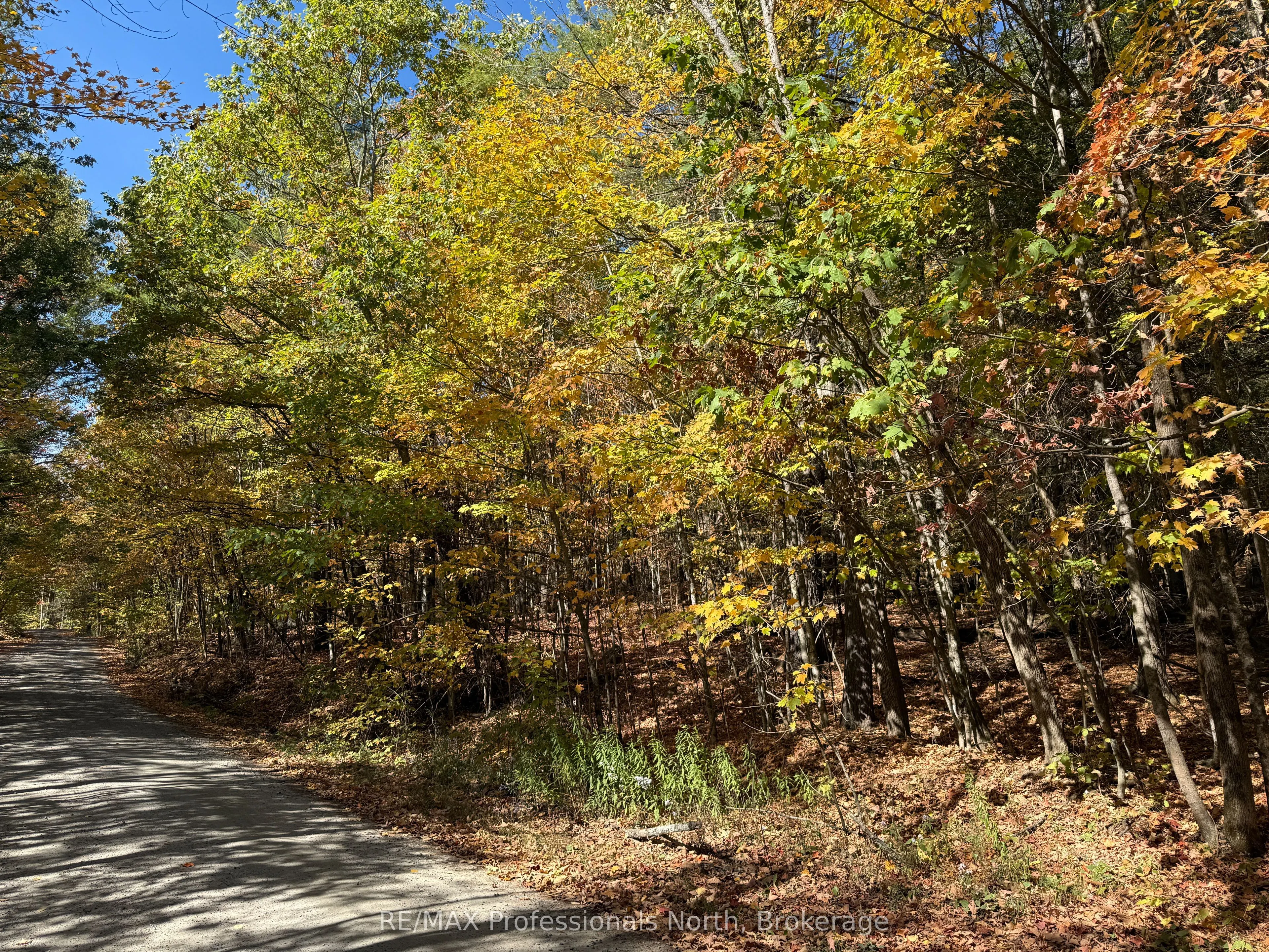 PT LT 7 CON 3 Buckslide Road