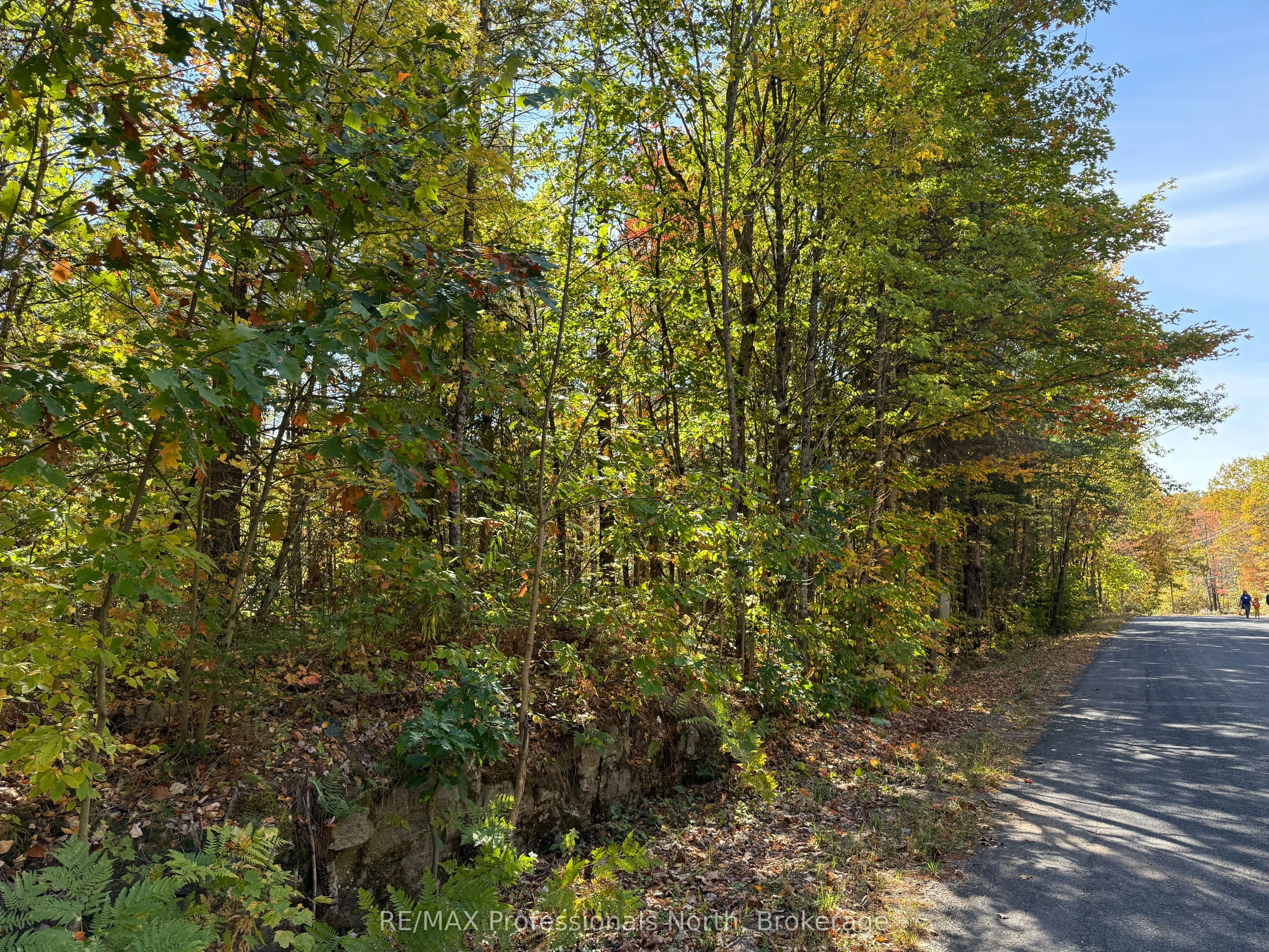 PT LT 7 CON 3 Buckslide Road