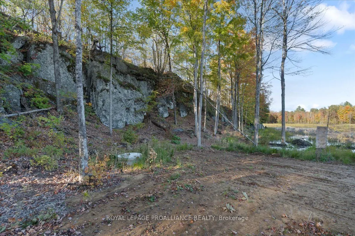 2650B Upper Flinton Road