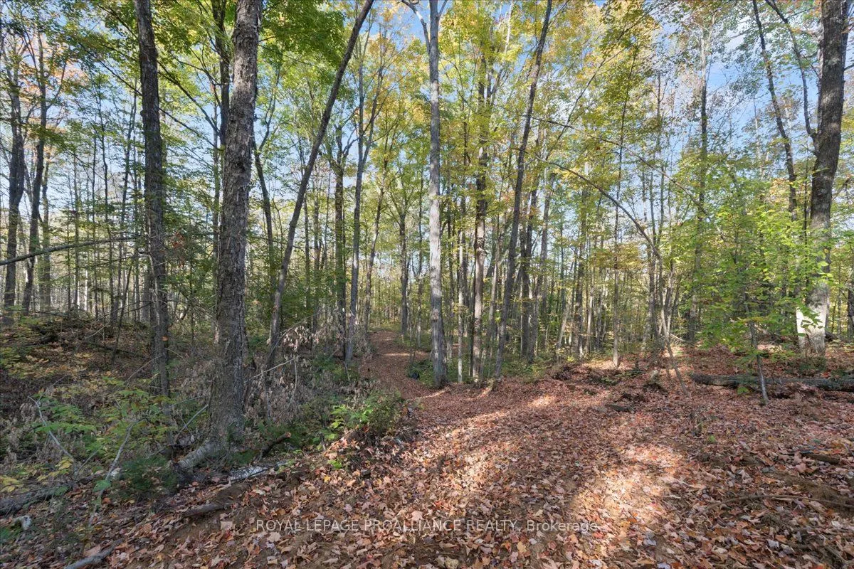 2650B Upper Flinton Road