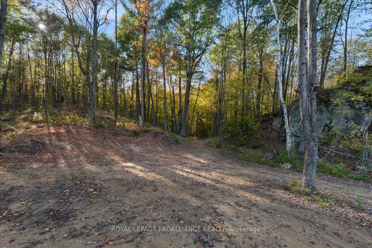 2650B Upper Flinton Road