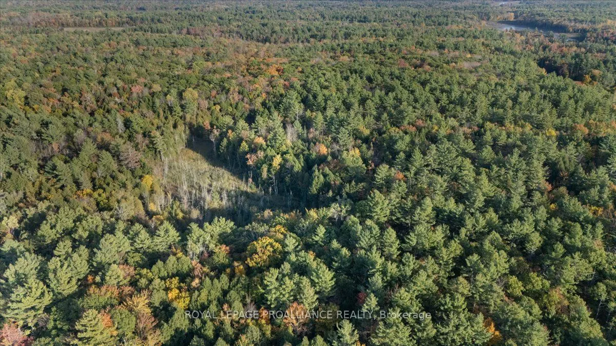 2650B Upper Flinton Road