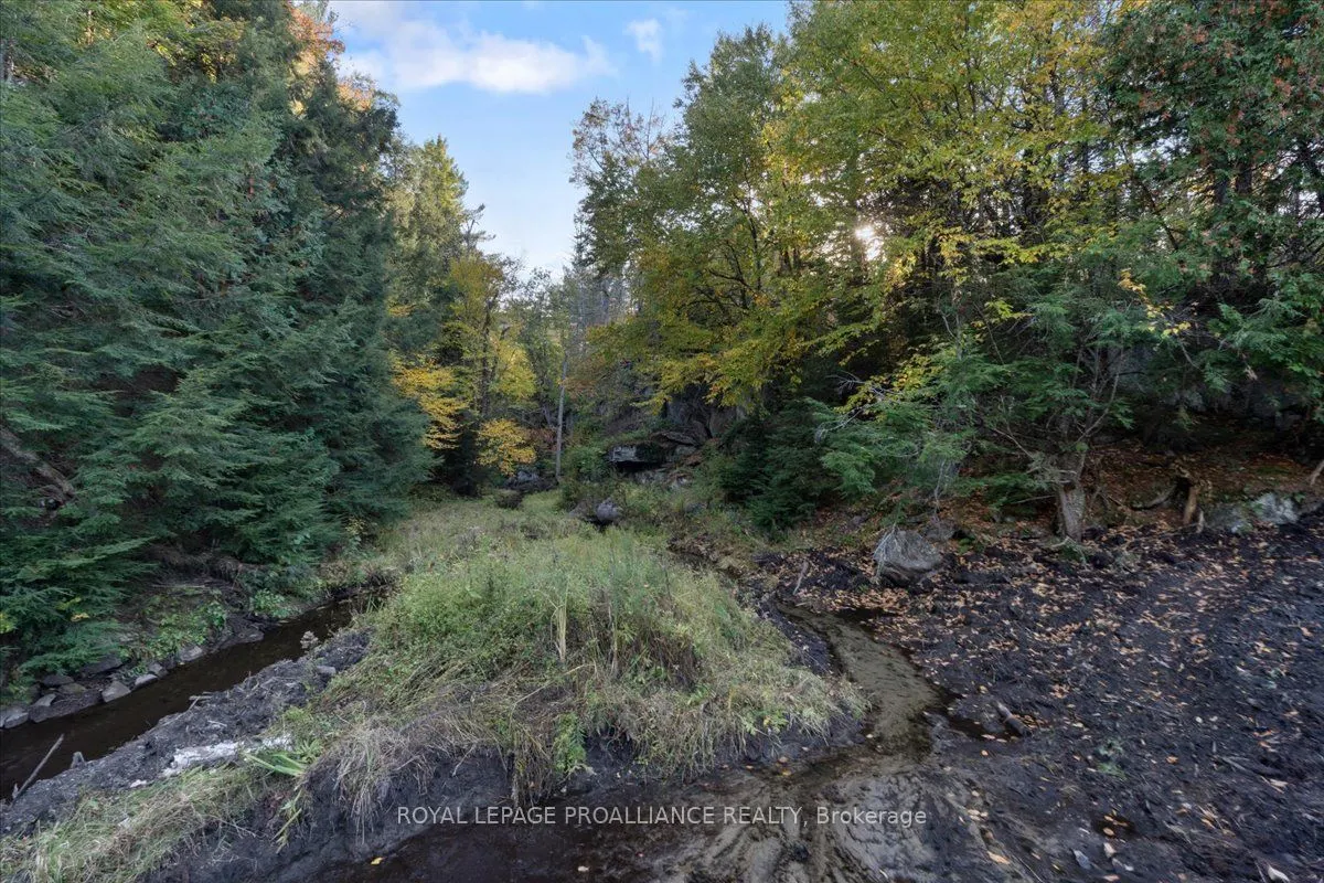 2650B Upper Flinton Road