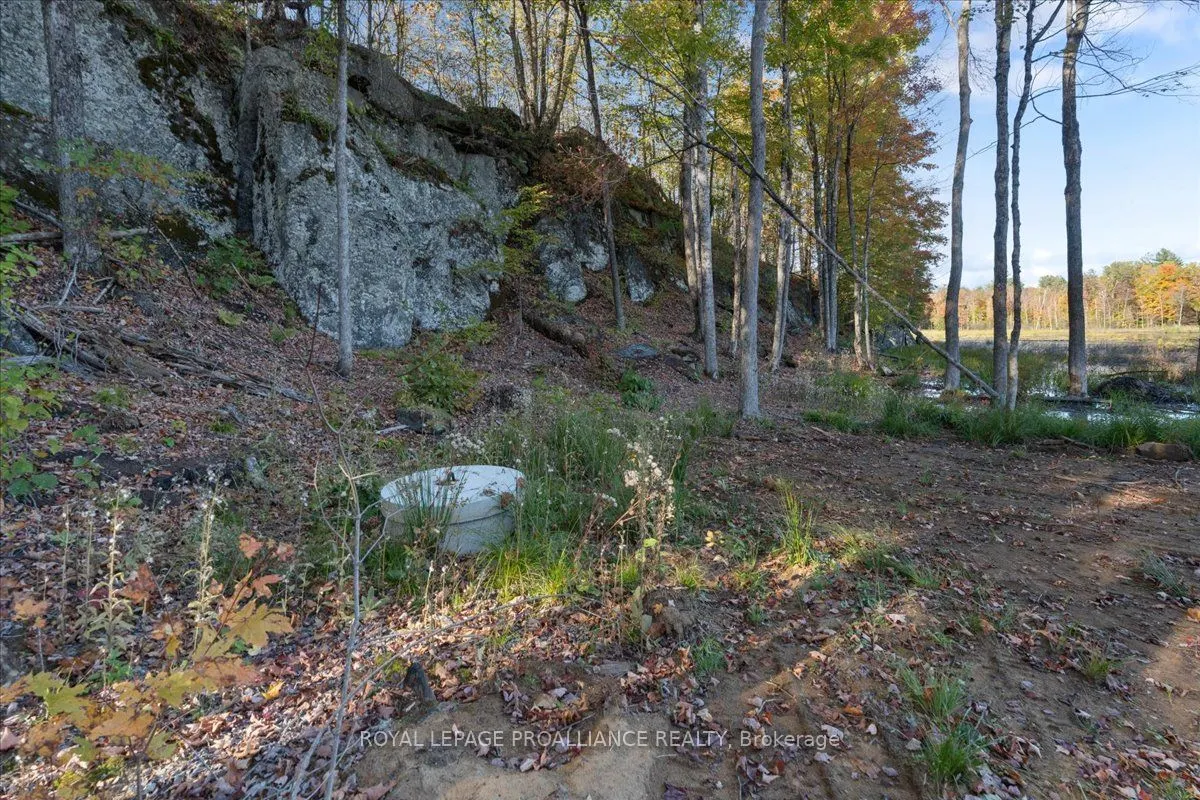 2650B Upper Flinton Road