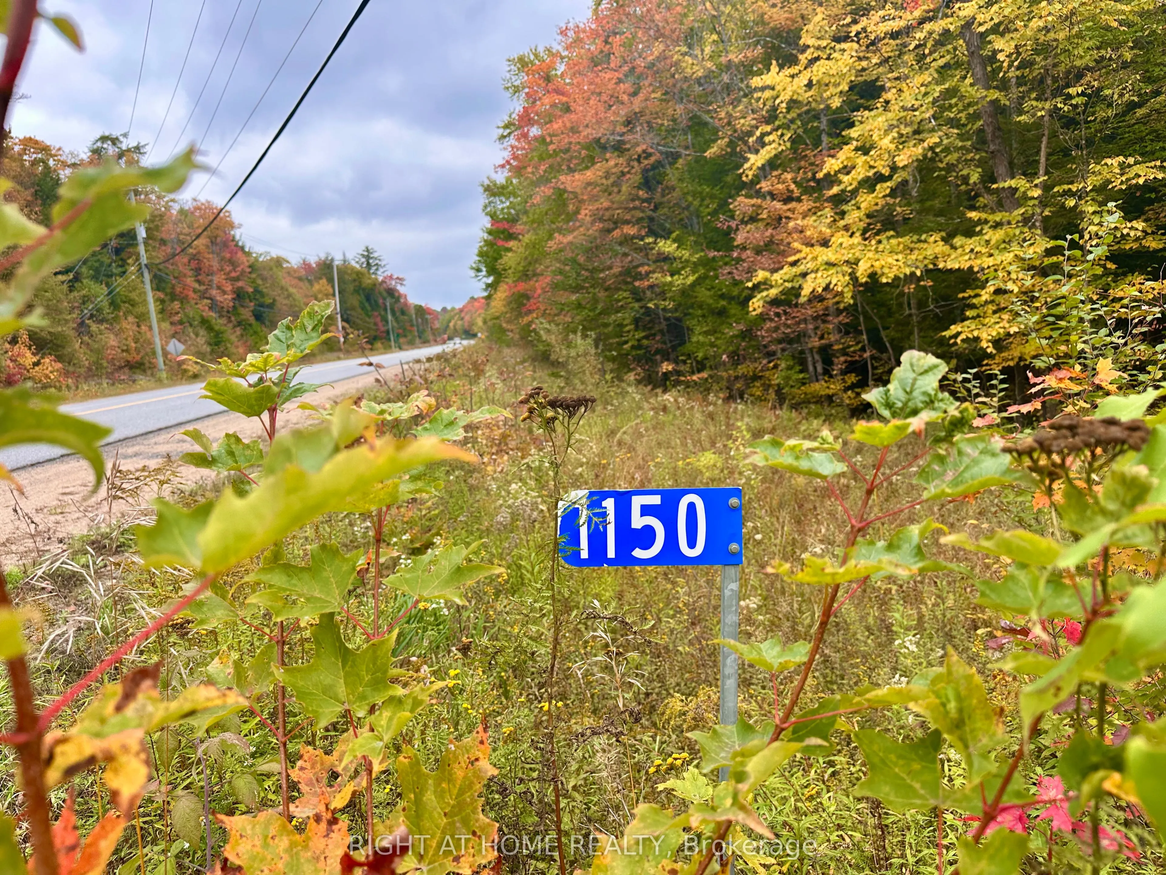 1150 Limberlost Road