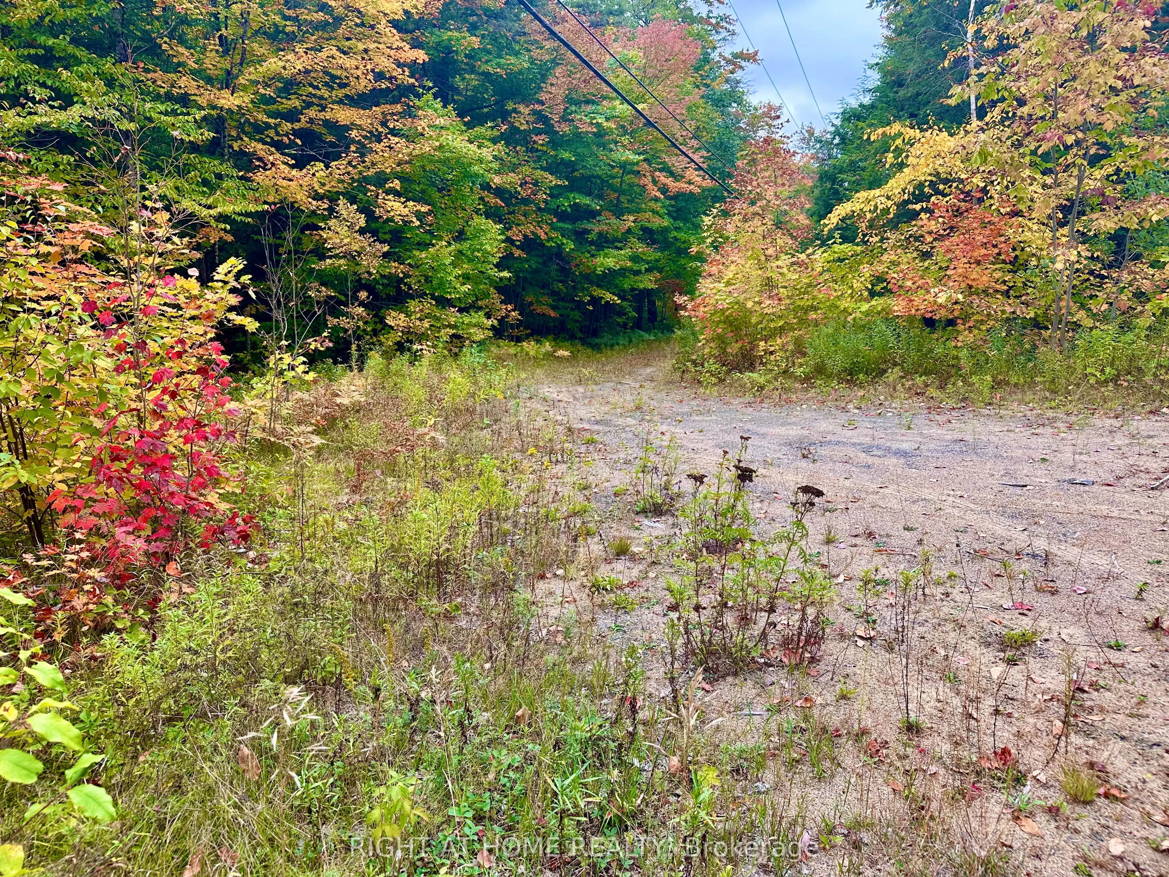 1150 Limberlost Road
