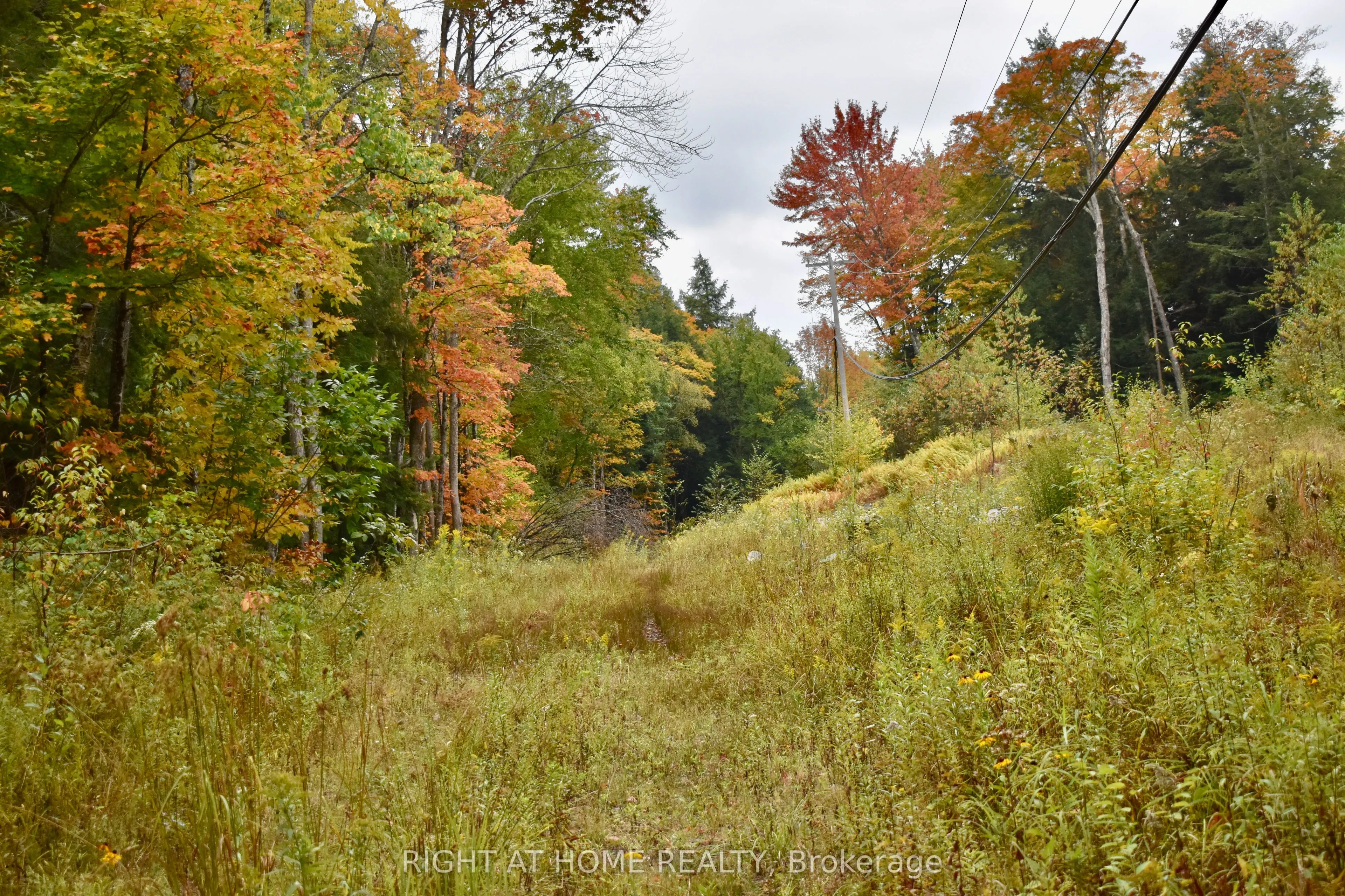 1150 Limberlost Road