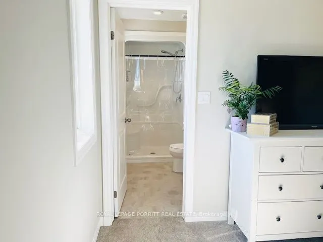 244 Wilson Avenue