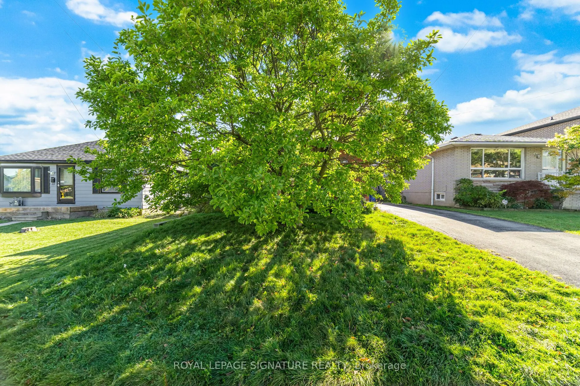 7 Maitland Avenue