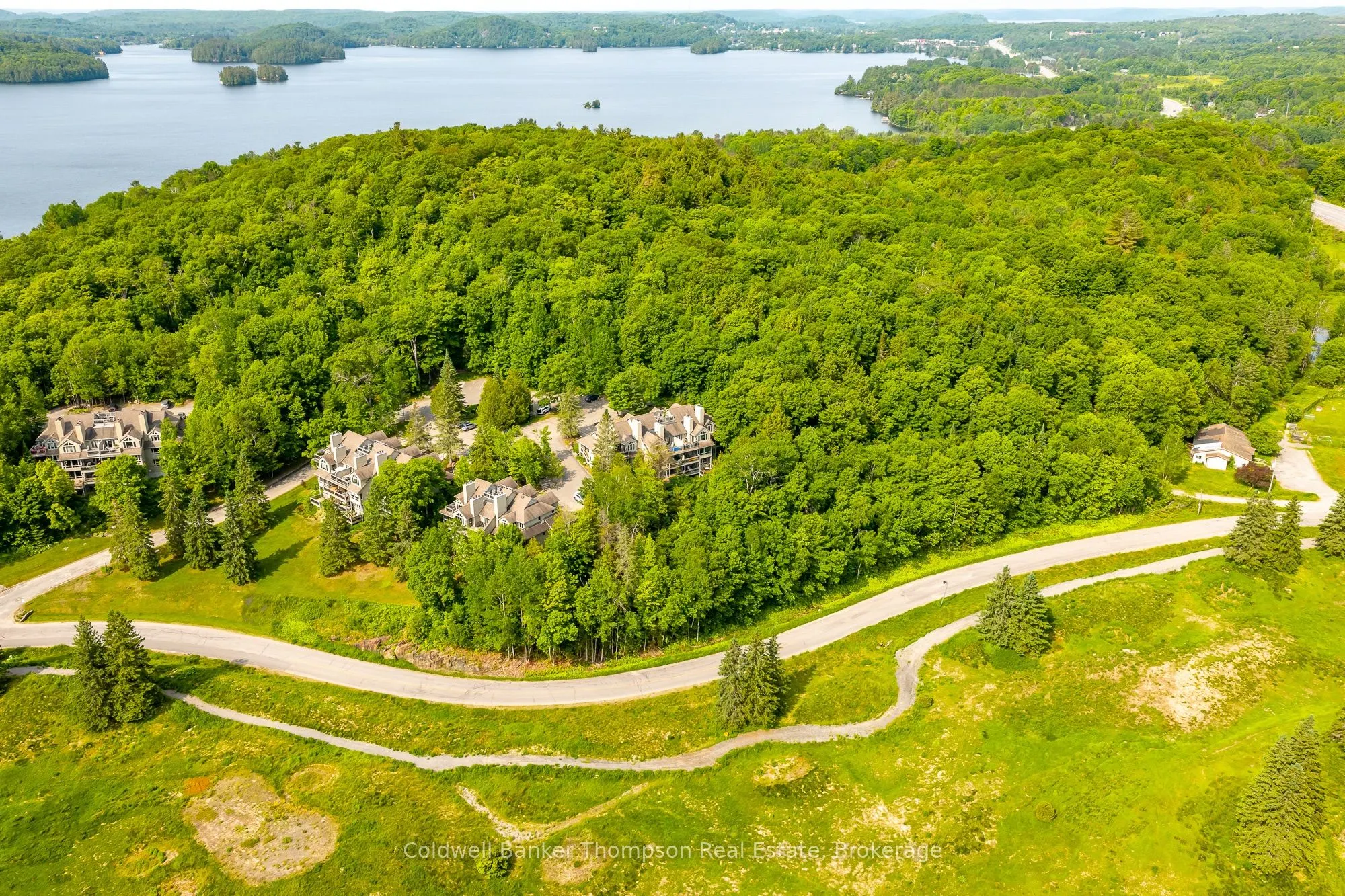 3931 Grandview Forest Hill Drive, #10