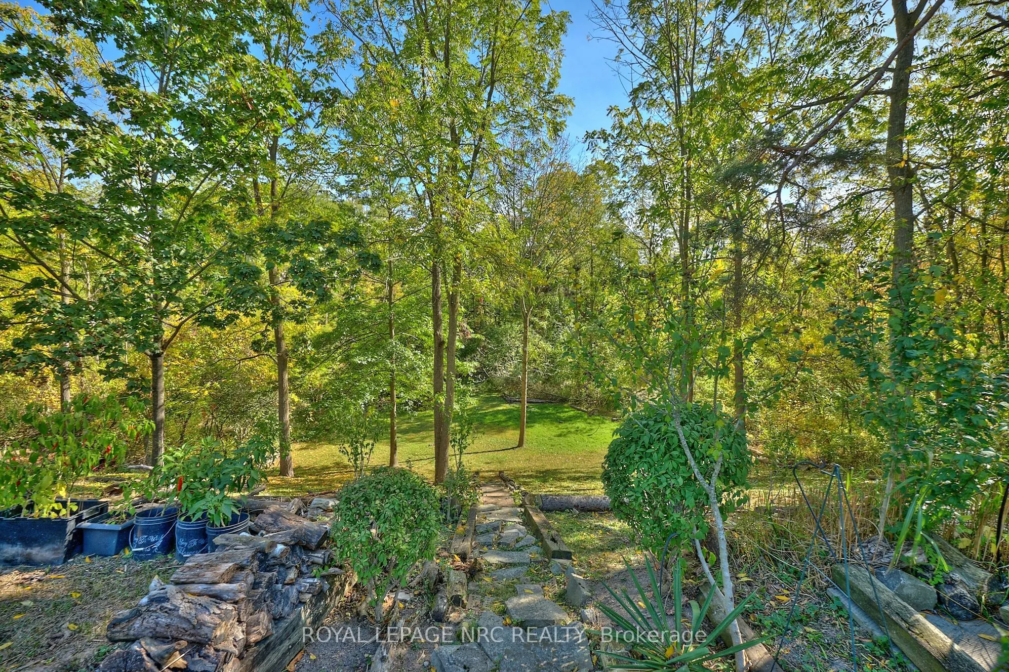 81 Riverview Boulevard