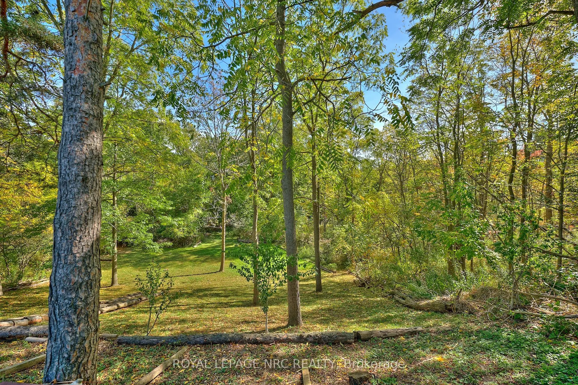 81 Riverview Boulevard