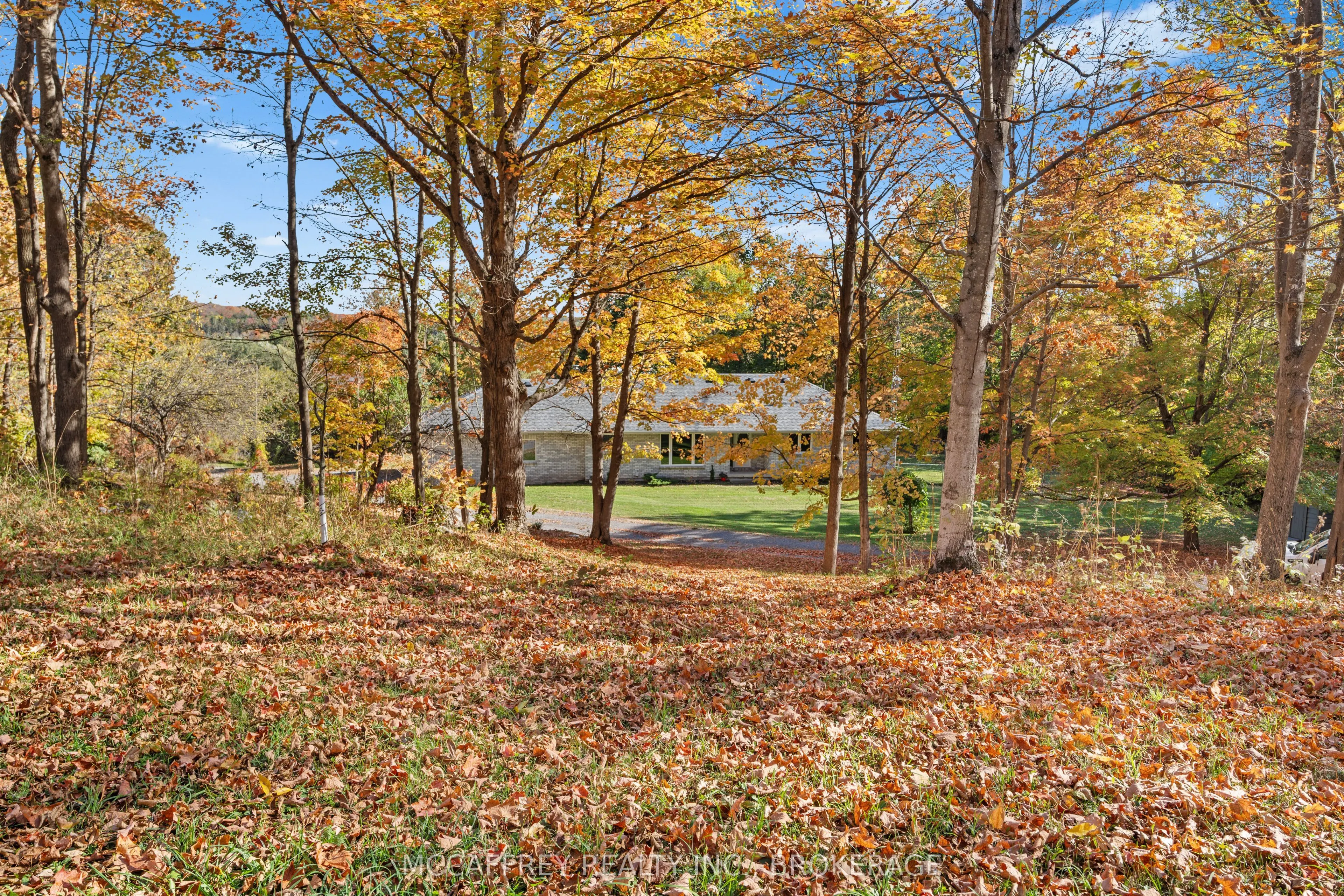 51 Luffman Road