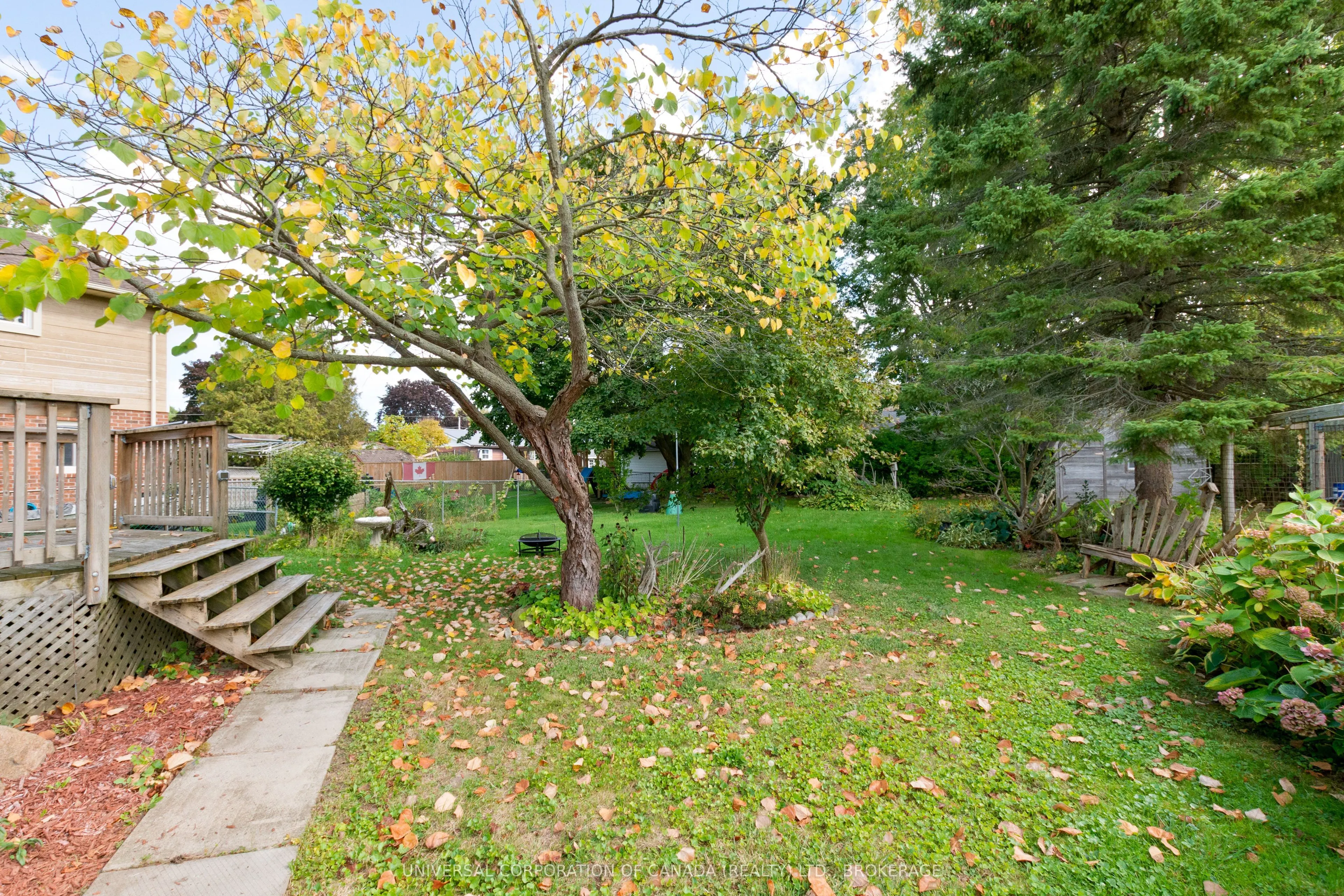 44 Shakespeare Street