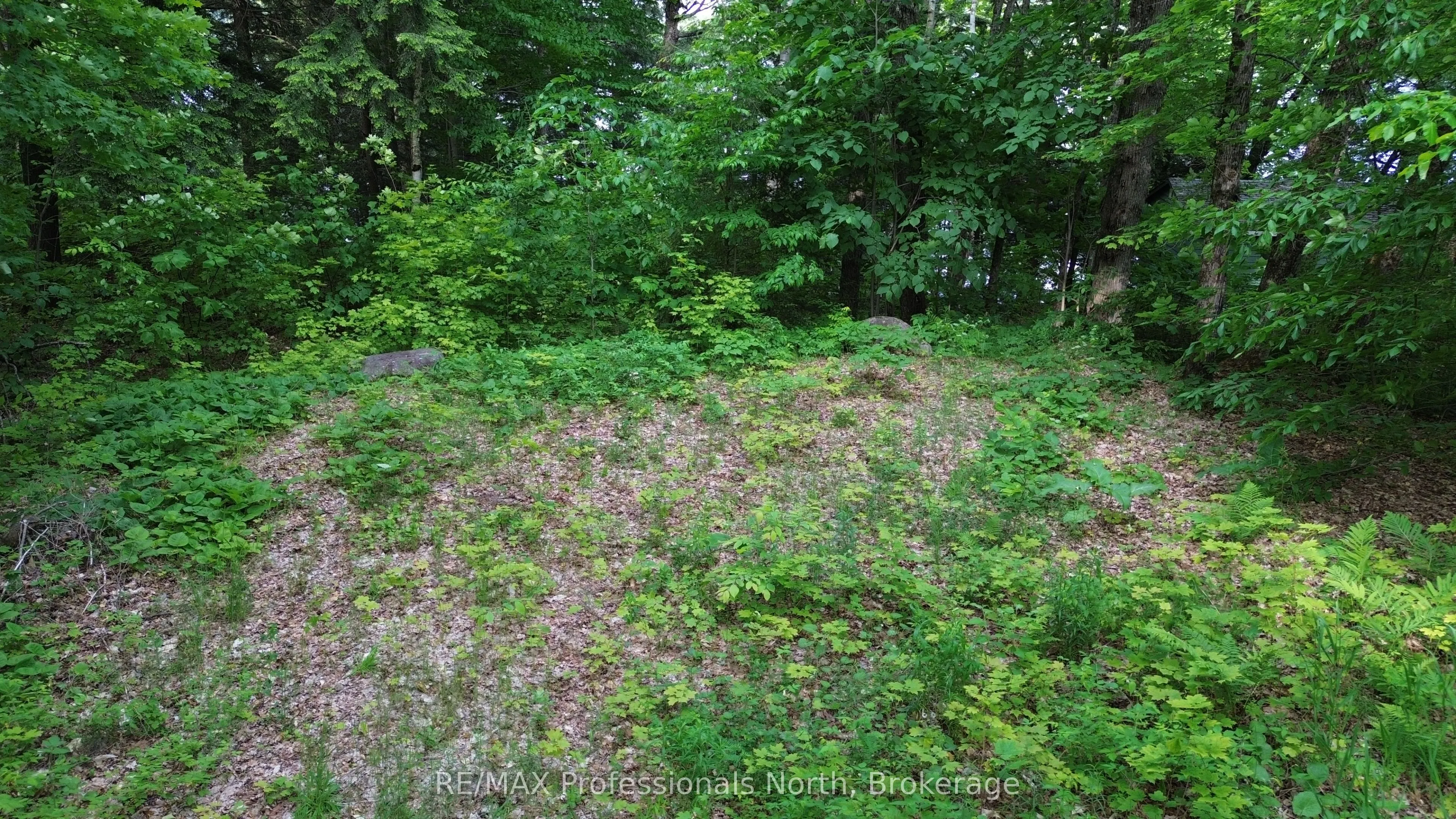 1012 Betula Crescent
