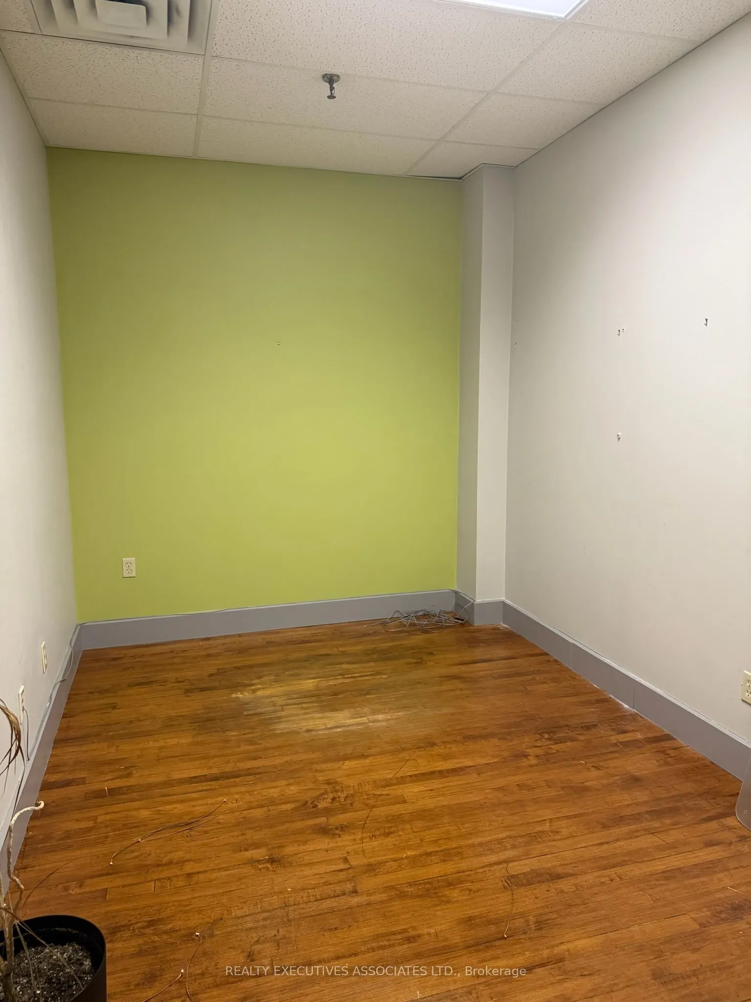 311 George Street N, #200