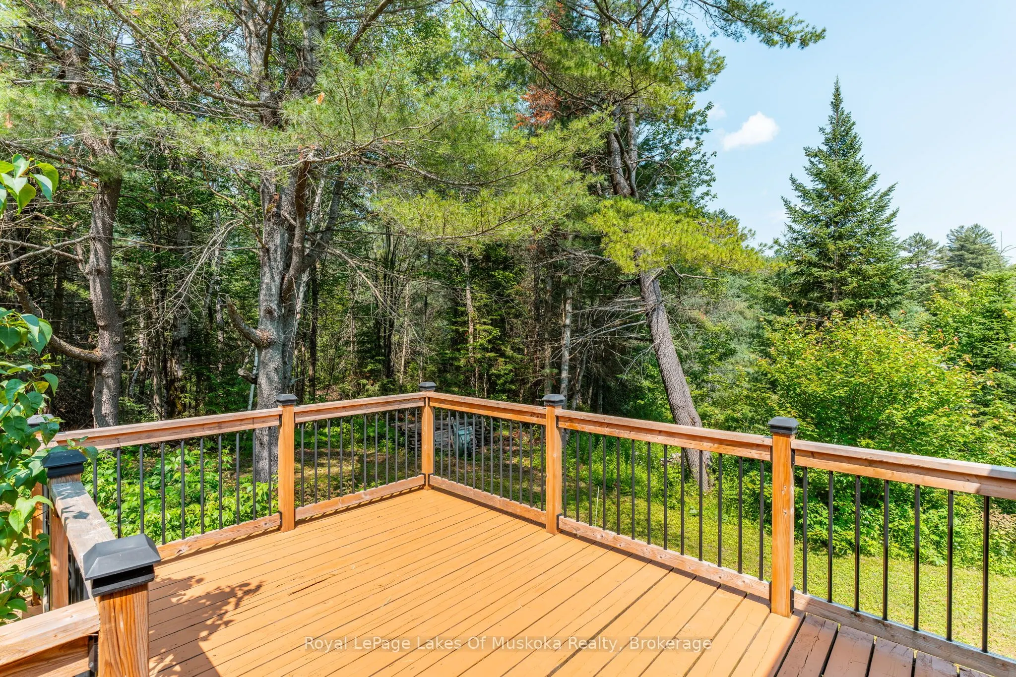 1035 Atkins Lake Road