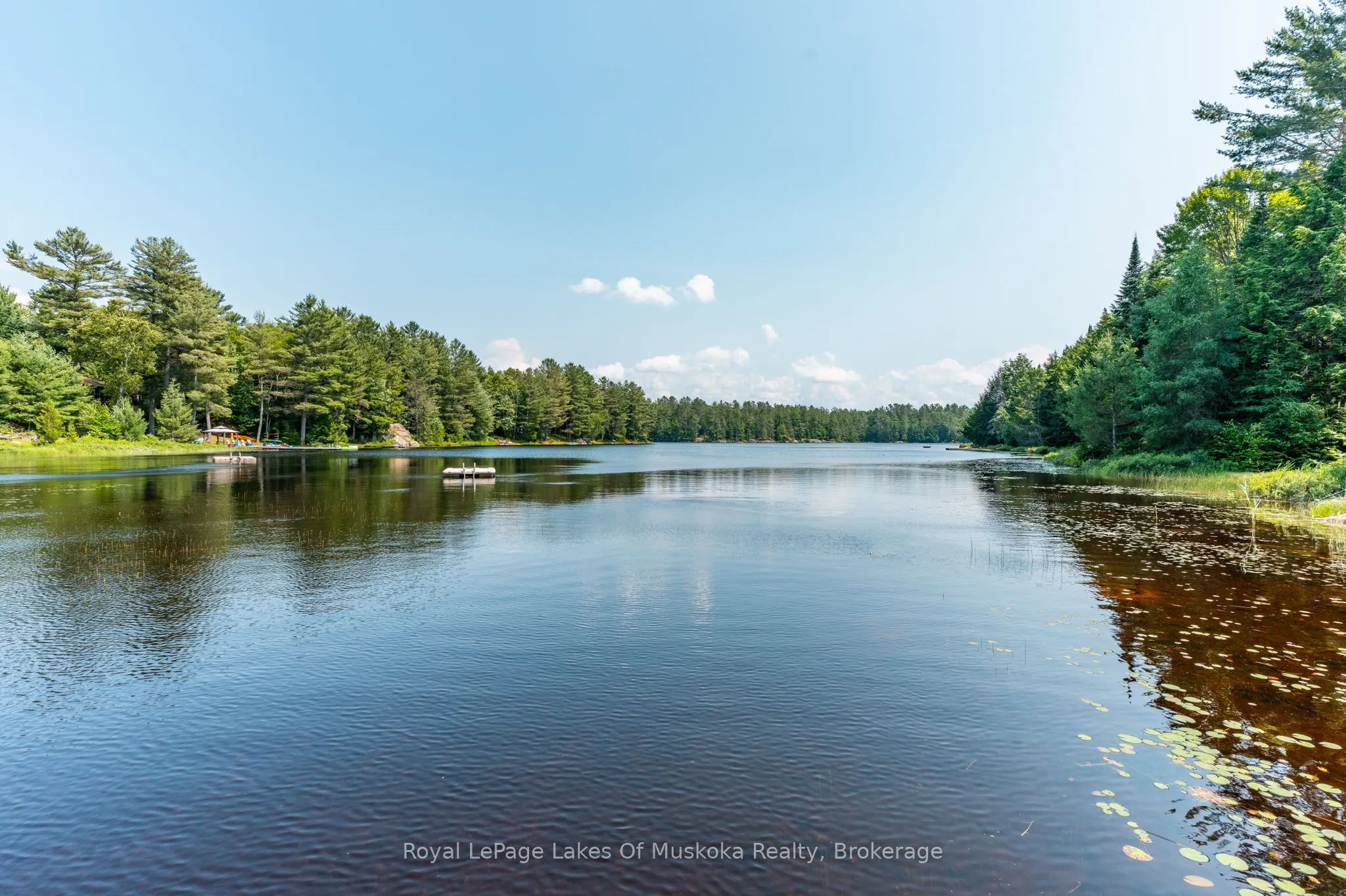 1035 Atkins Lake Road