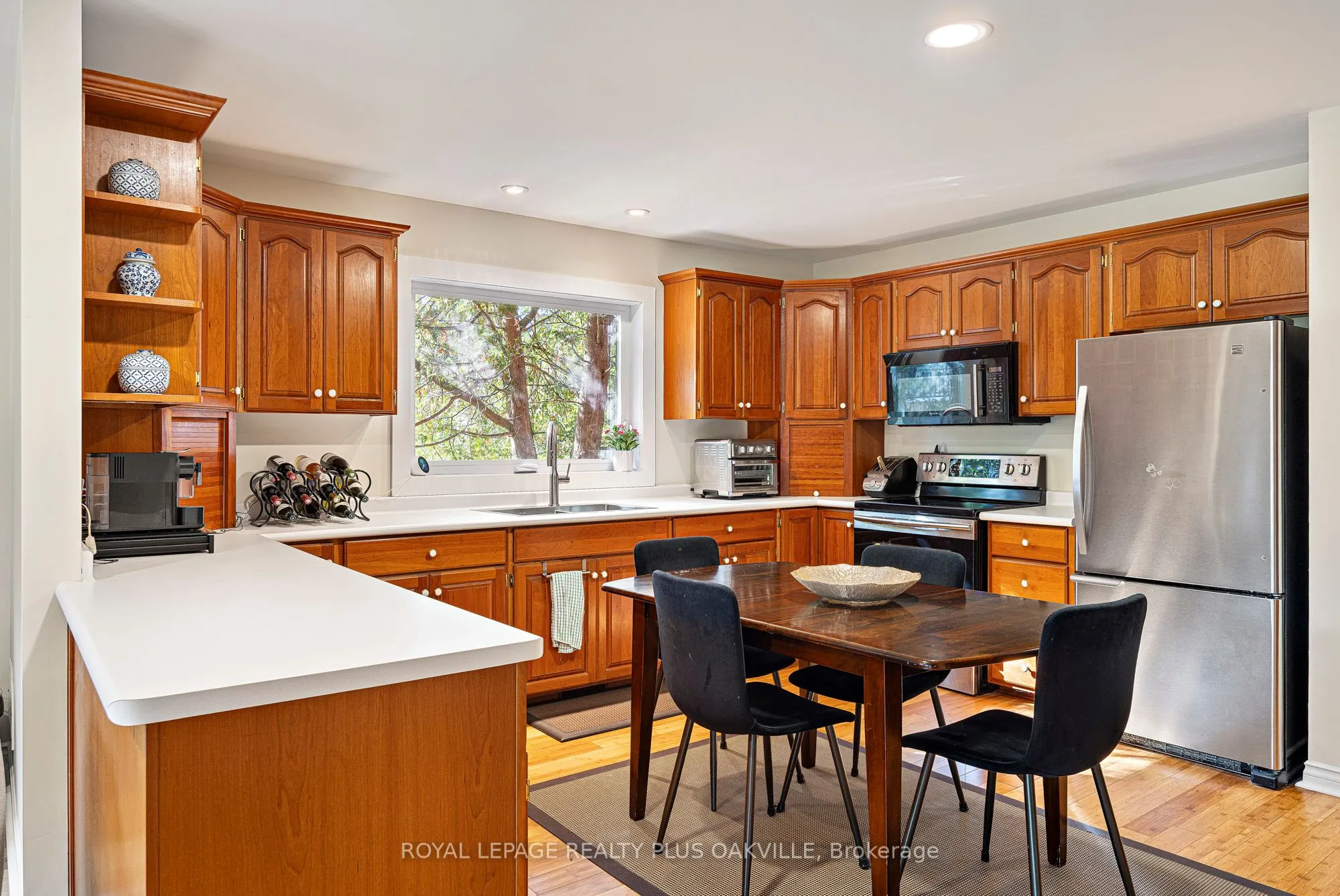679 Green Ravine Drive