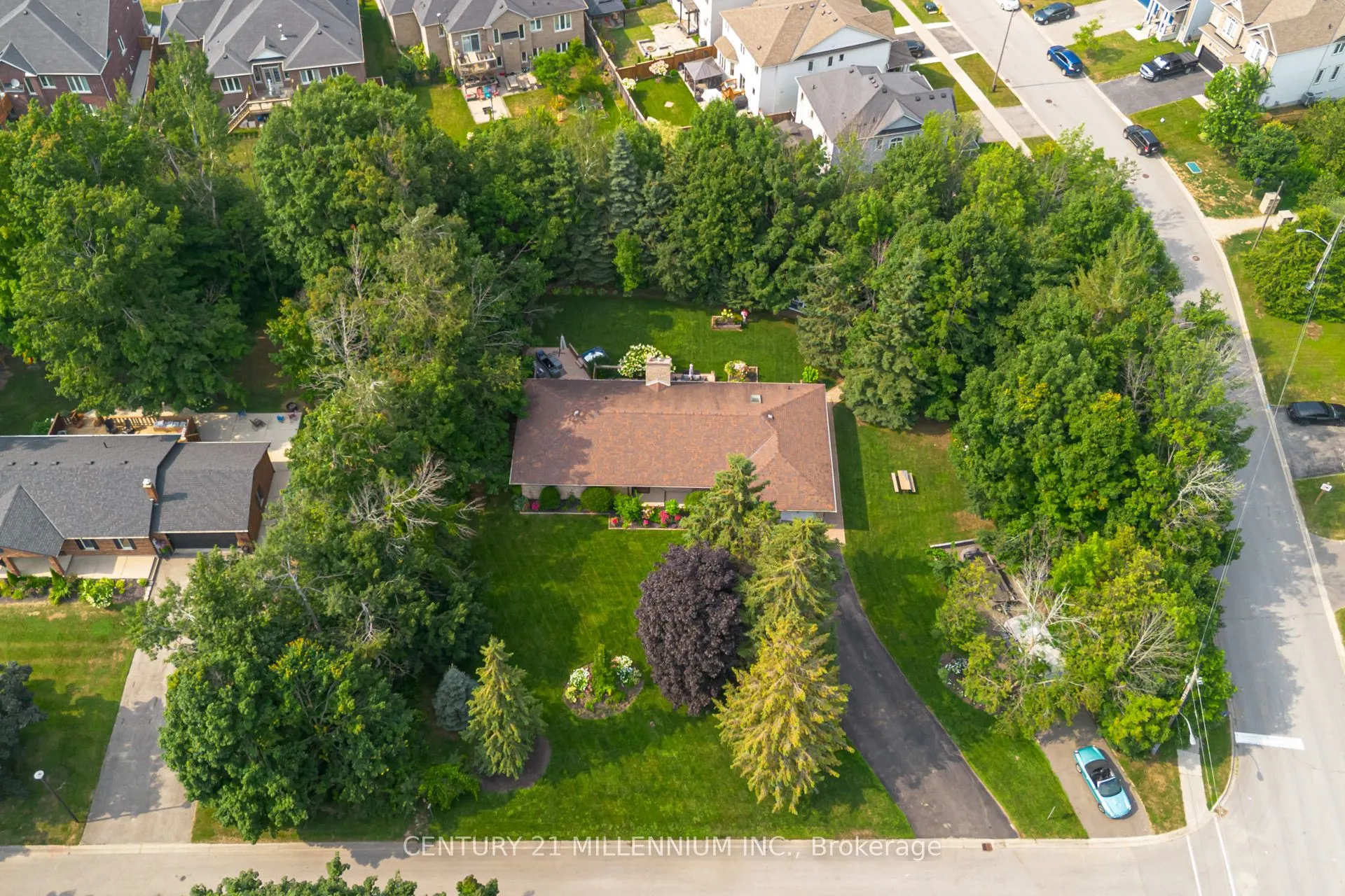 101 Birch Grove