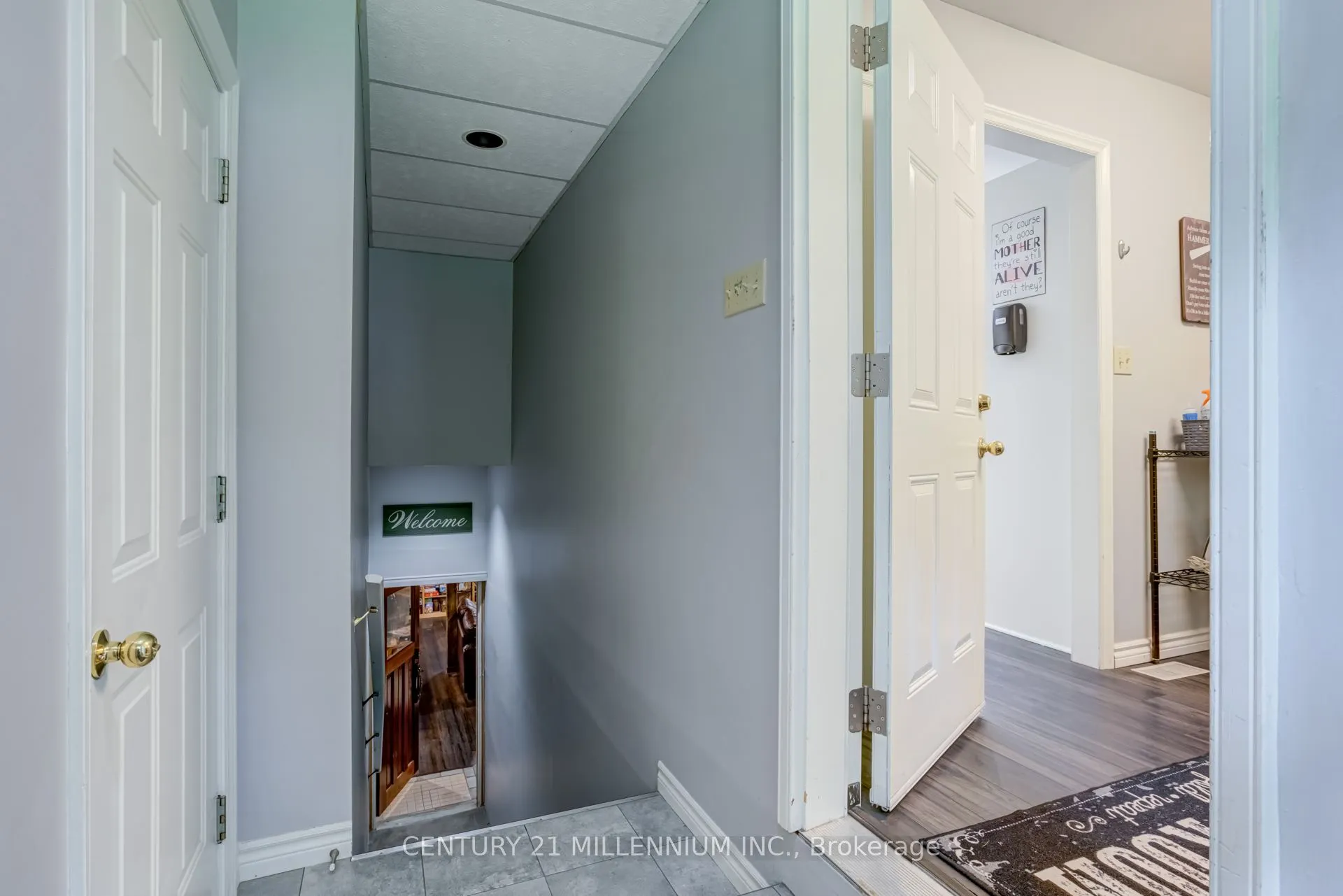 101 Birch Grove