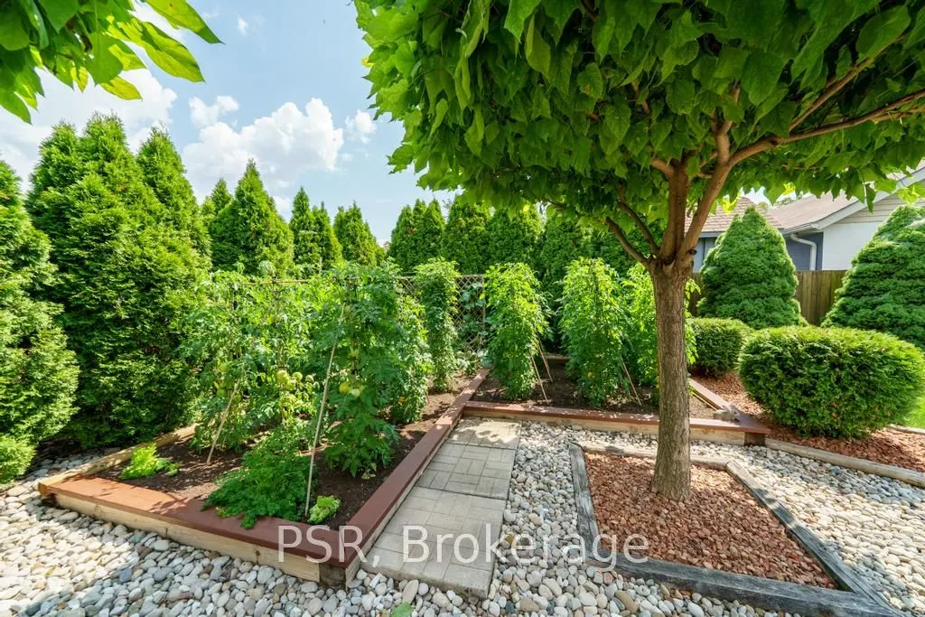 117 Sunrise Drive