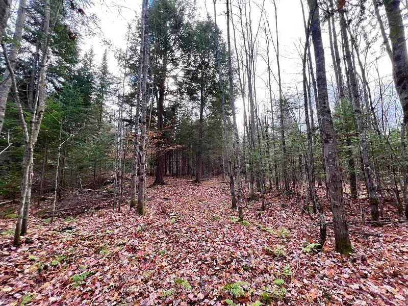678 Centreview Road