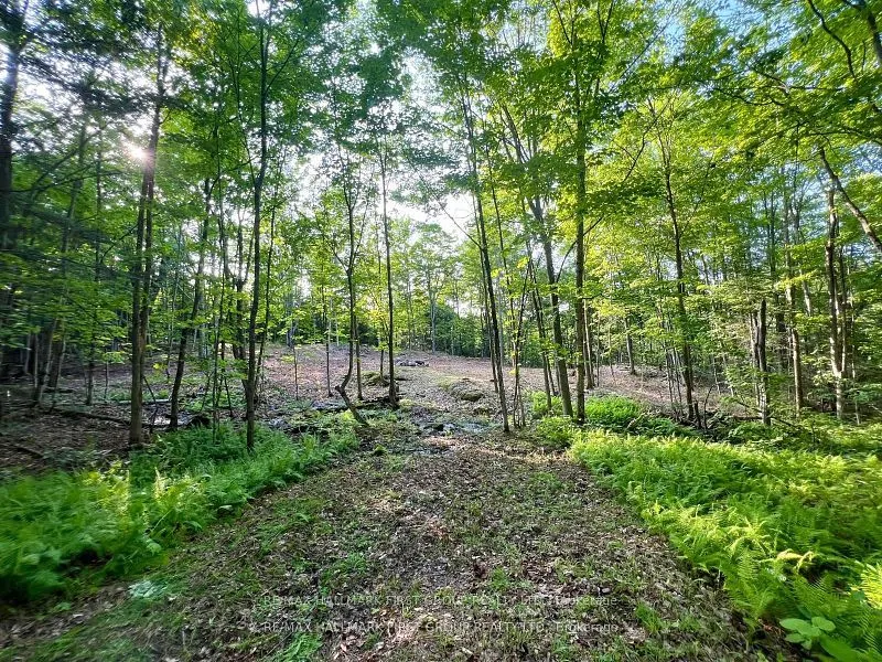 678 Centreview Road