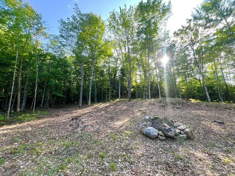 678 Centreview Road
