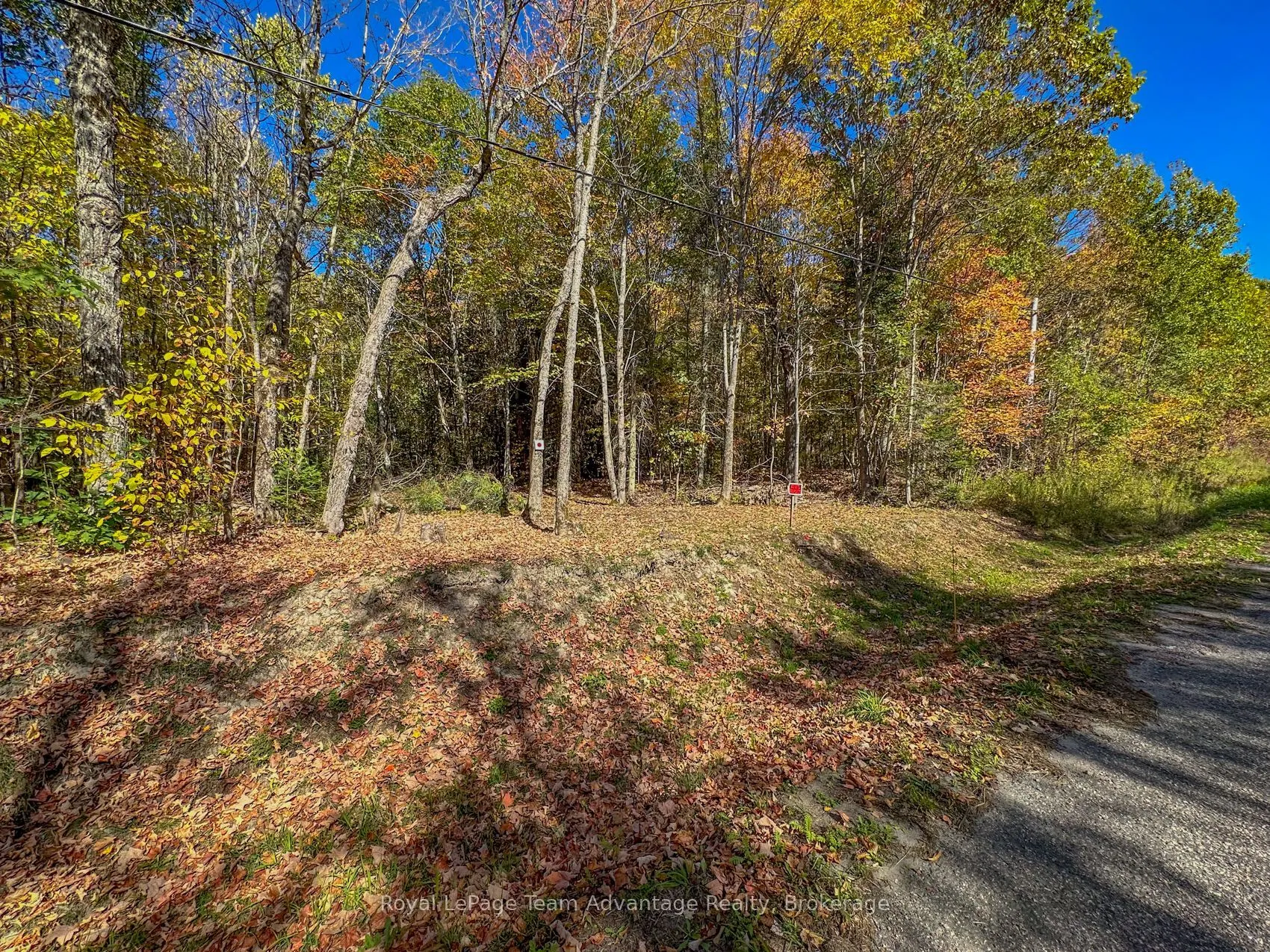 0 TURTLE LAKE Road